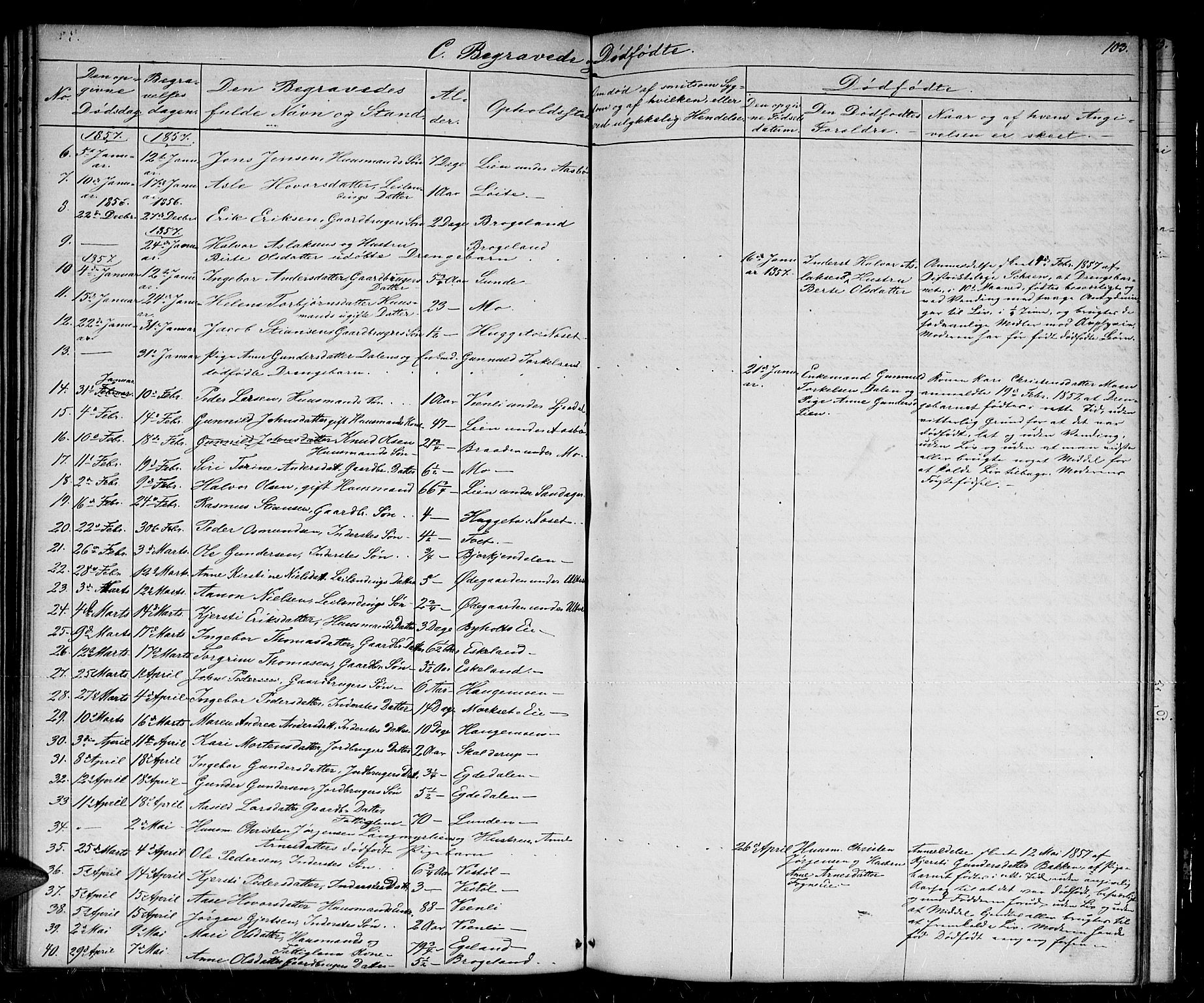 Gjerstad sokneprestkontor, SAK/1111-0014/F/Fb/Fba/L0005: Parish register (copy) no. B 5, 1853-1867, p. 103