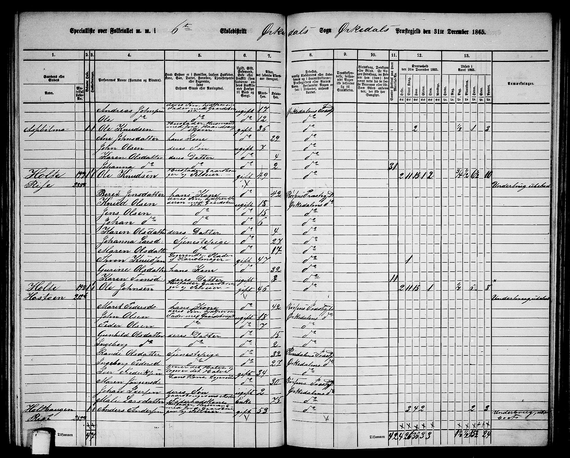 RA, 1865 census for Orkdal, 1865, p. 178