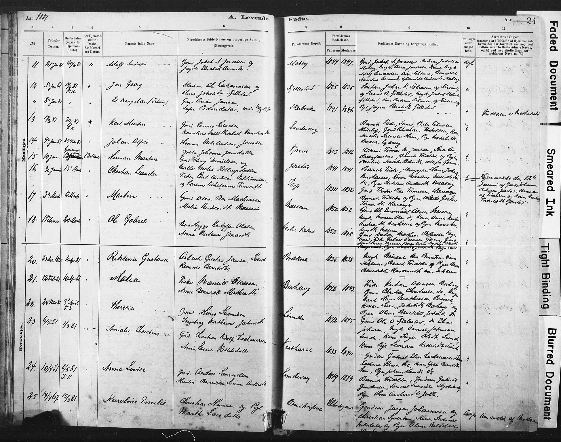 Lista sokneprestkontor, AV/SAK-1111-0027/F/Fa/L0012: Parish register (official) no. A 12, 1879-1903, p. 24