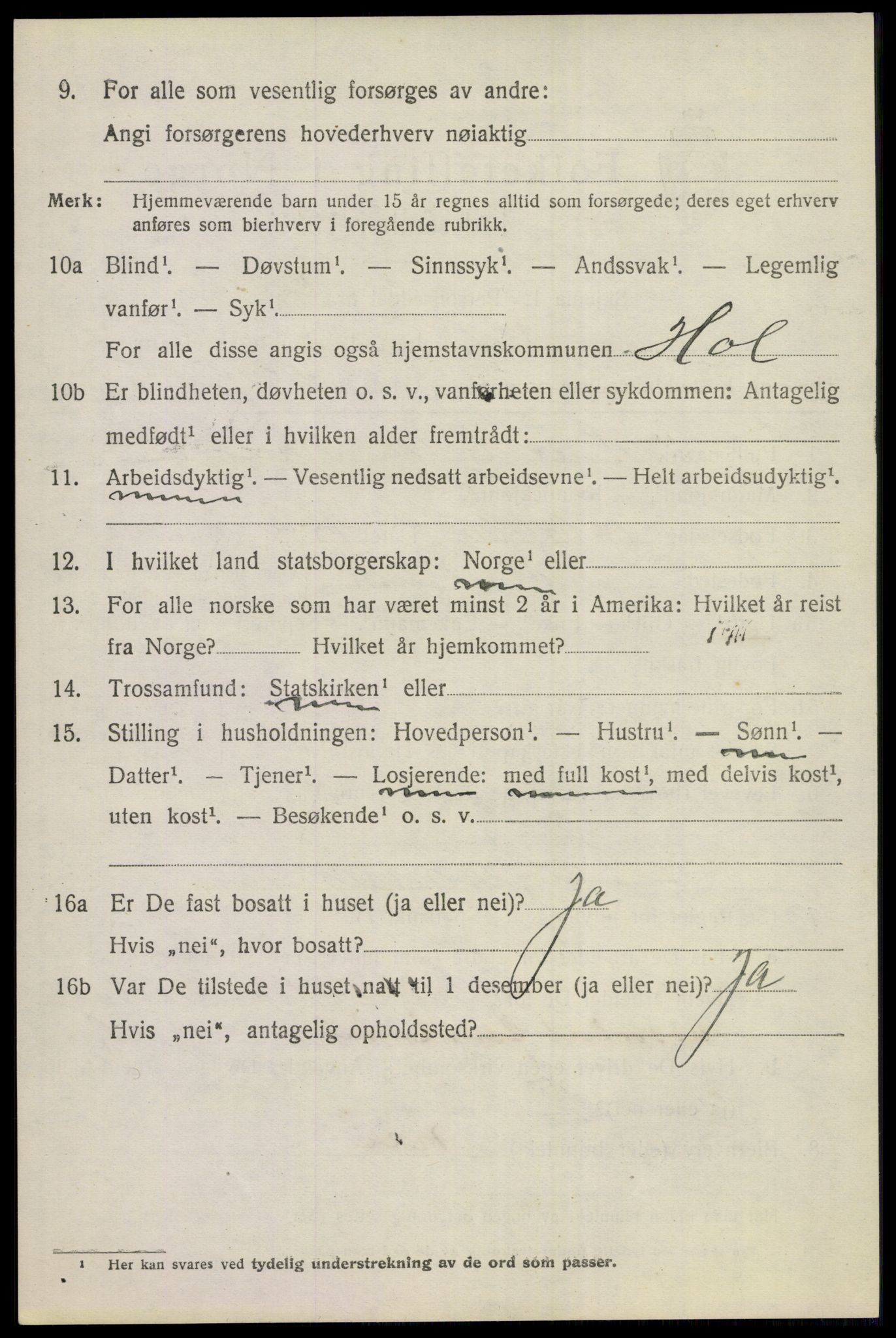 SAKO, 1920 census for Hol (Buskerud), 1920, p. 3794