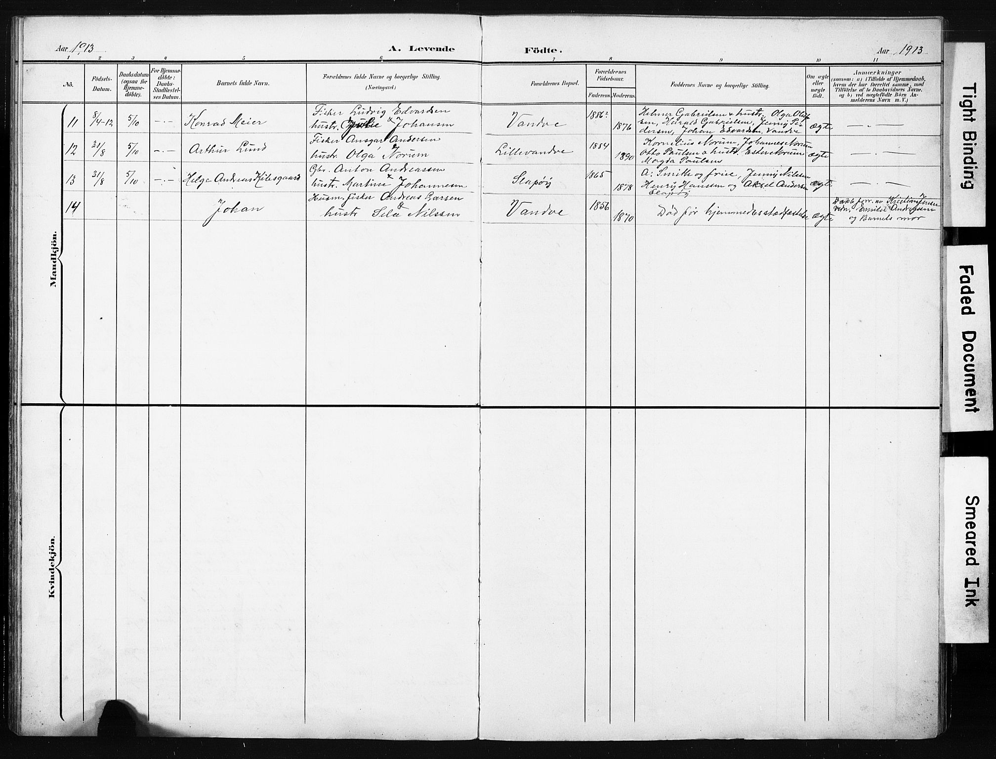 Ministerialprotokoller, klokkerbøker og fødselsregistre - Nordland, AV/SAT-A-1459/836/L0538: Parish register (copy) no. 836C02, 1901-1917