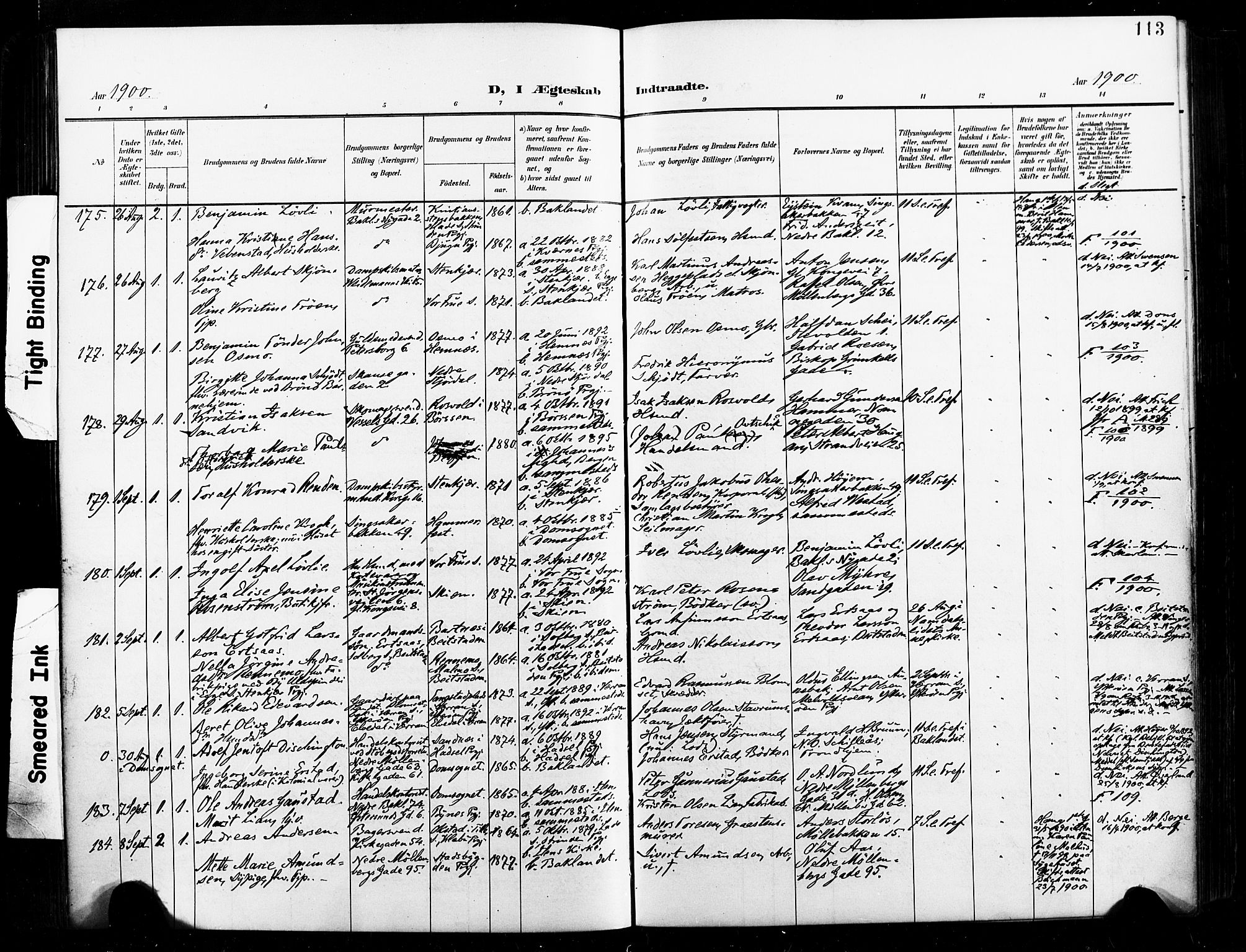 Ministerialprotokoller, klokkerbøker og fødselsregistre - Sør-Trøndelag, AV/SAT-A-1456/604/L0198: Parish register (official) no. 604A19, 1893-1900, p. 113