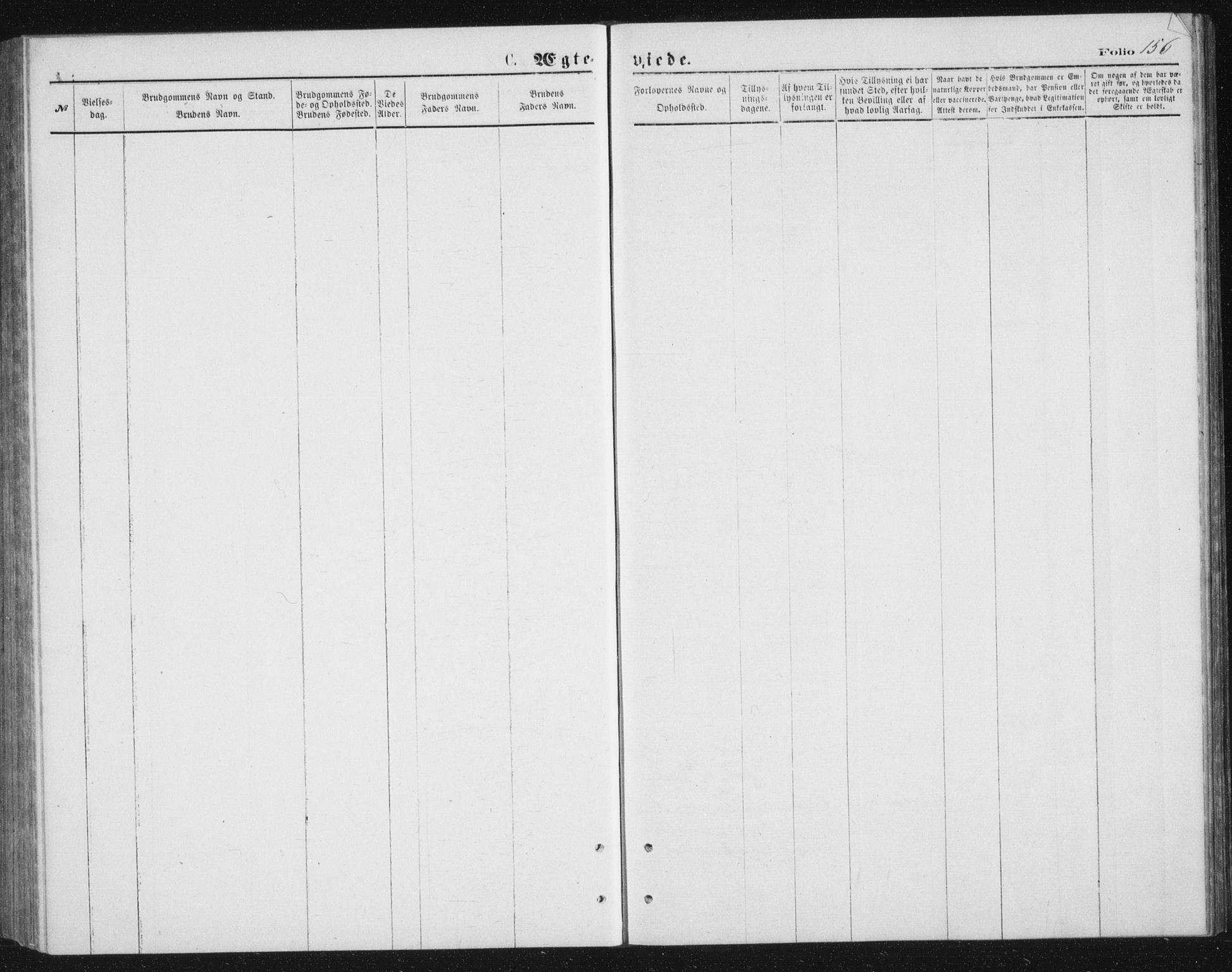 Tranøy sokneprestkontor, SATØ/S-1313/I/Ia/Iab/L0013klokker: Parish register (copy) no. 13, 1874-1896, p. 156