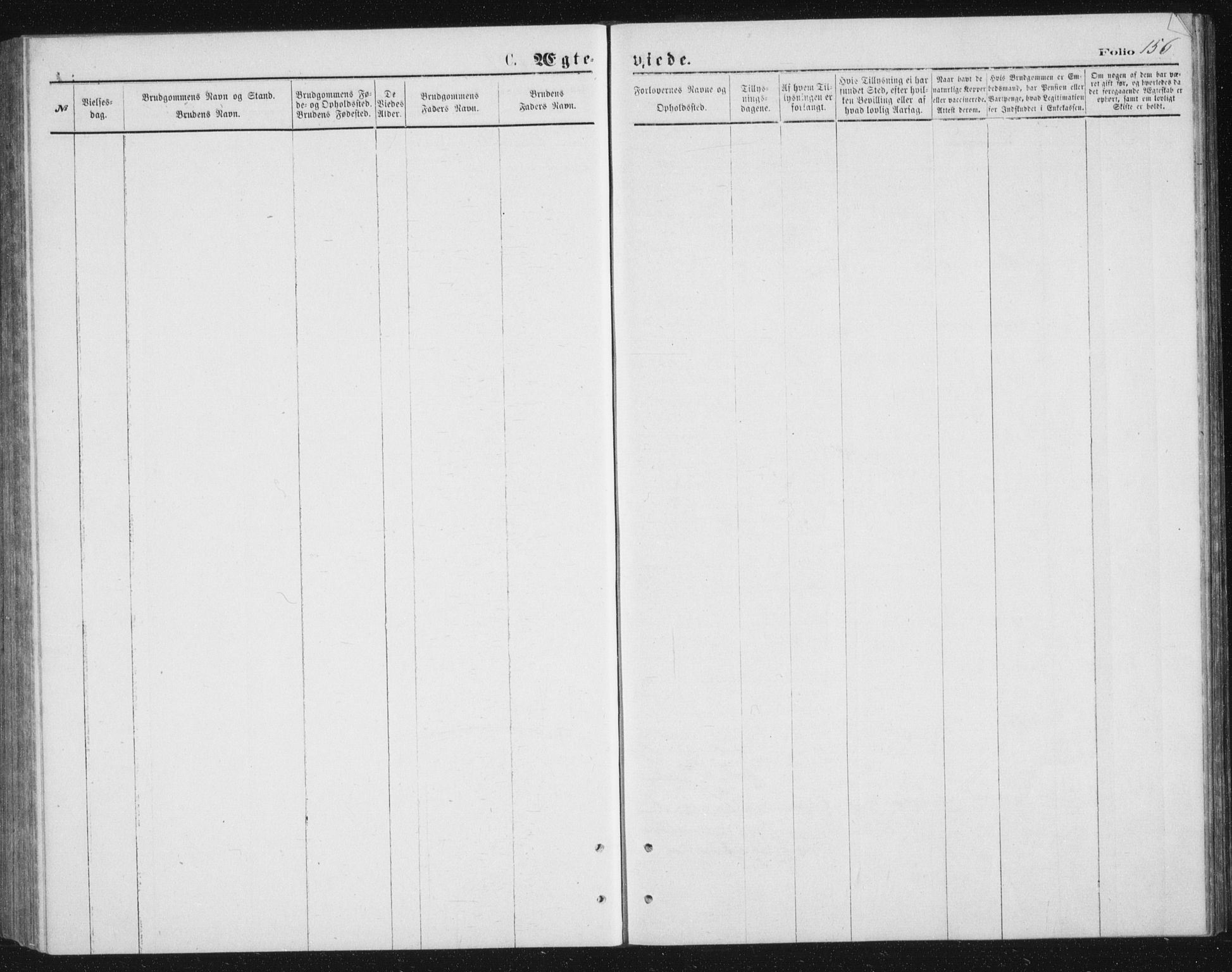 Tranøy sokneprestkontor, AV/SATØ-S-1313/I/Ia/Iab/L0013klokker: Parish register (copy) no. 13, 1874-1896, p. 156