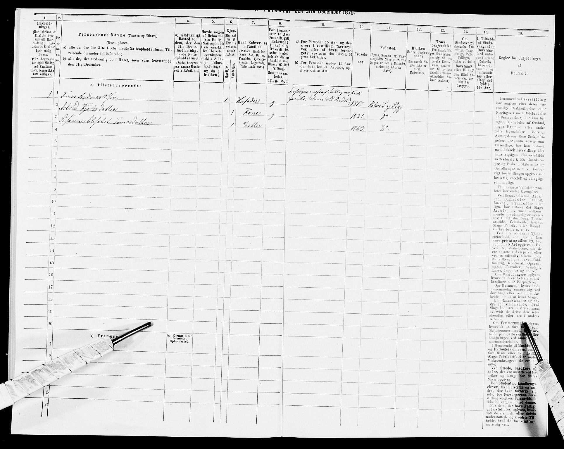 SAK, 1875 census for 1020P Holum, 1875, p. 684