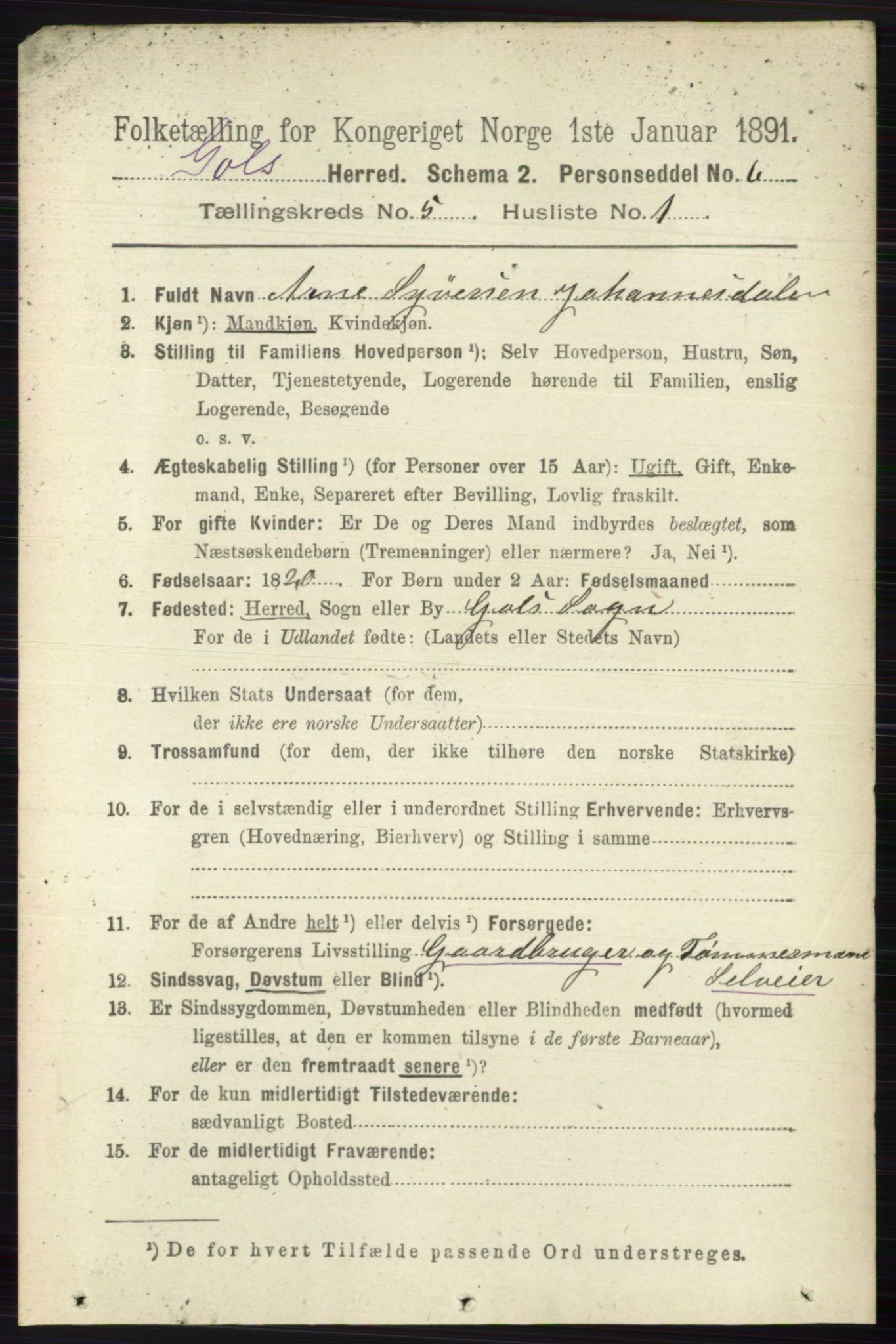 RA, 1891 census for 0617 Gol og Hemsedal, 1891, p. 2310