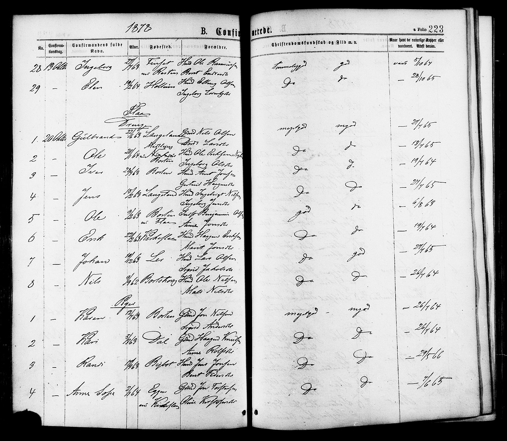 Ministerialprotokoller, klokkerbøker og fødselsregistre - Sør-Trøndelag, AV/SAT-A-1456/691/L1079: Parish register (official) no. 691A11, 1873-1886, p. 223