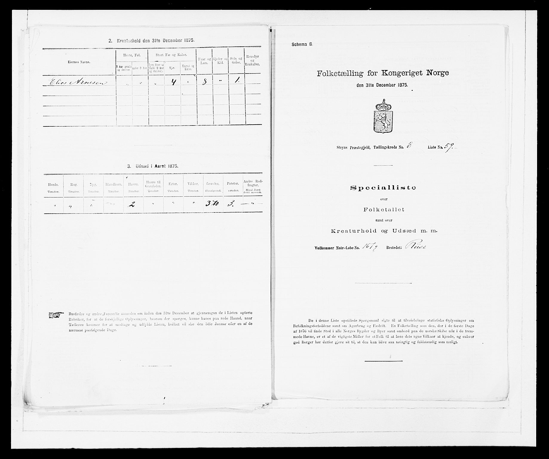 SAB, 1875 Census for 1448P Stryn, 1875, p. 231