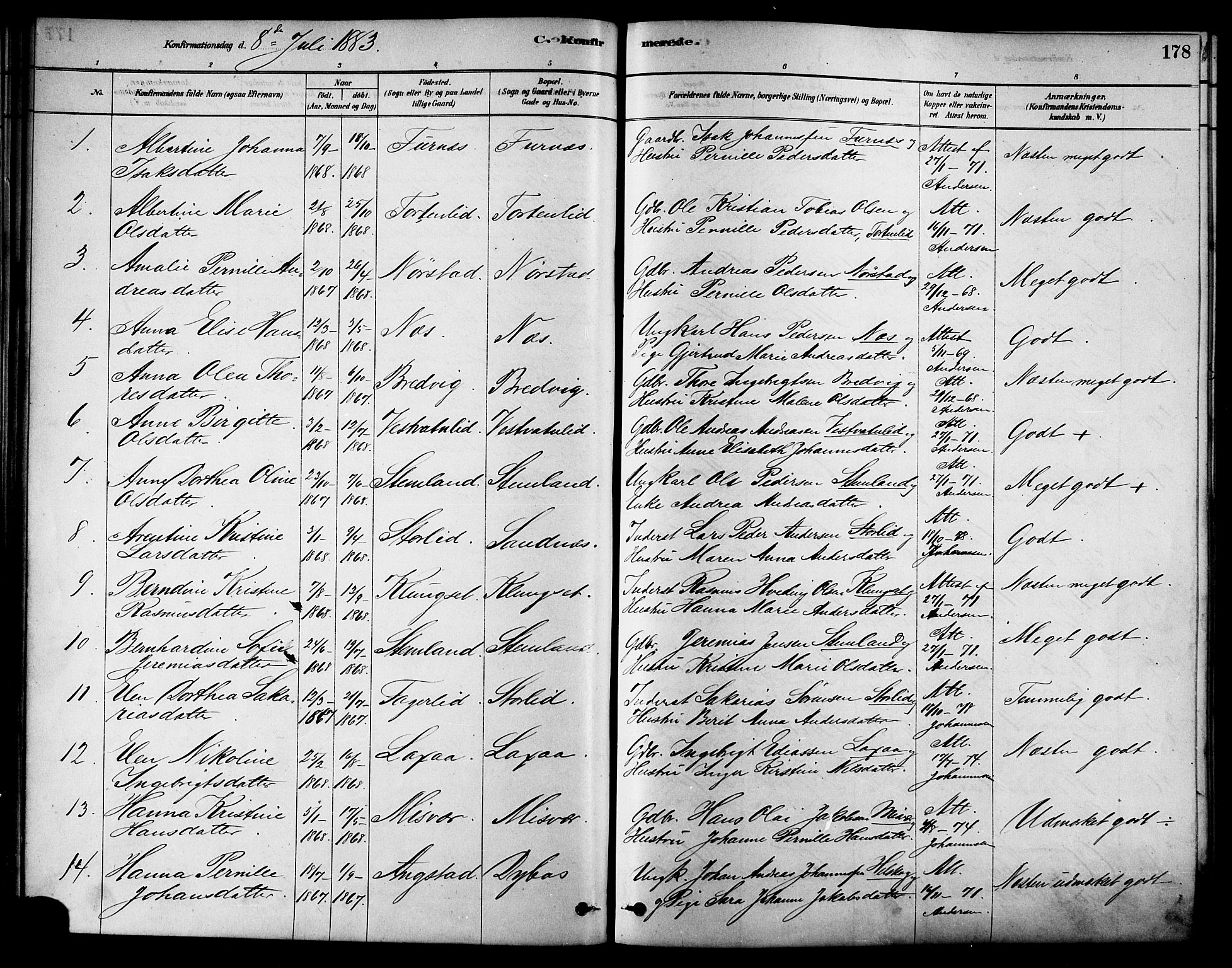 Ministerialprotokoller, klokkerbøker og fødselsregistre - Nordland, SAT/A-1459/852/L0740: Parish register (official) no. 852A10, 1878-1894, p. 178