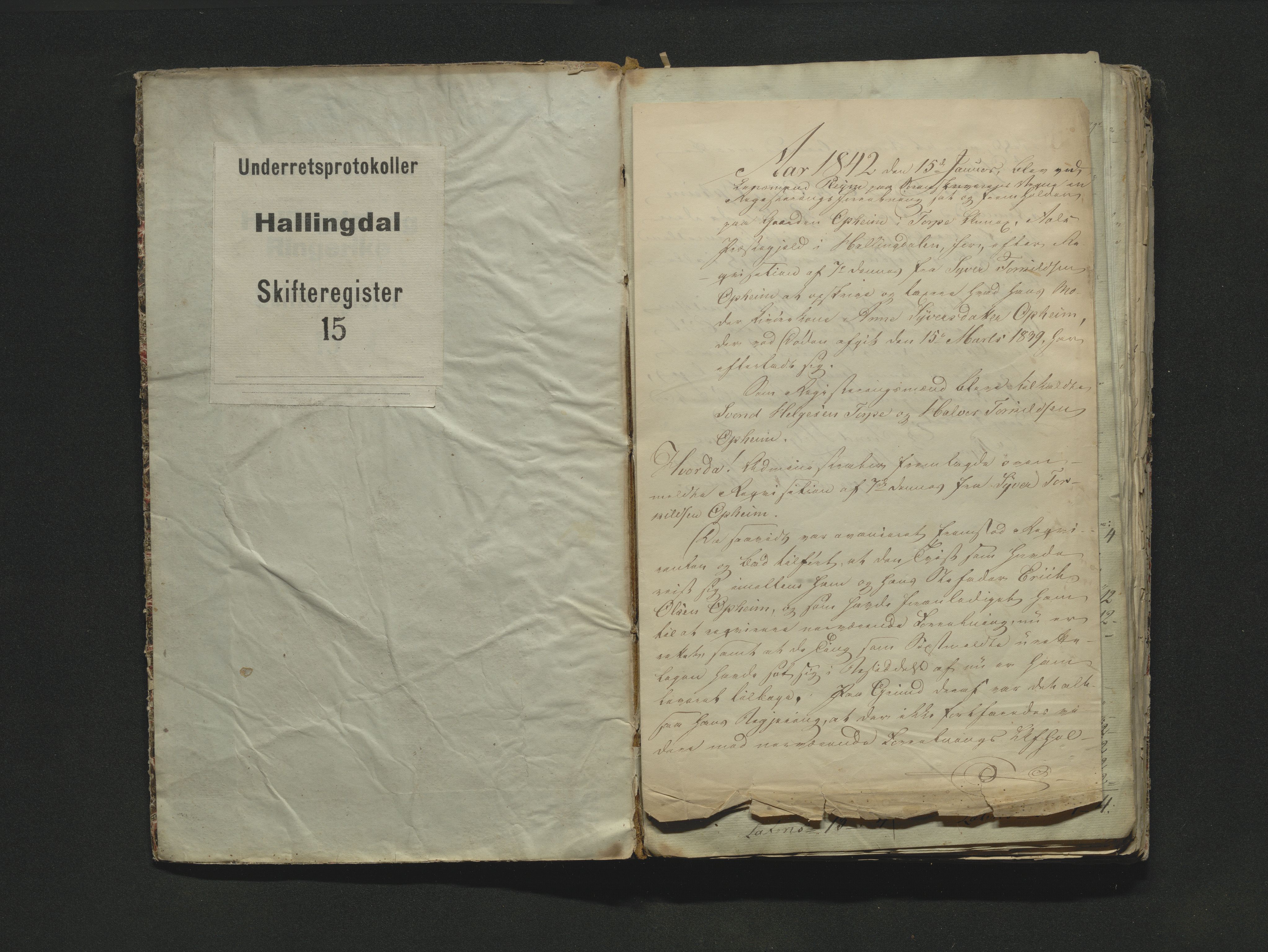 Hallingdal sorenskriveri, SAKO/A-121/H/Hb/Hbb/Hbba/L0015: Skifteregistreringsprotokoll, Sorenskriveriet, 1842
