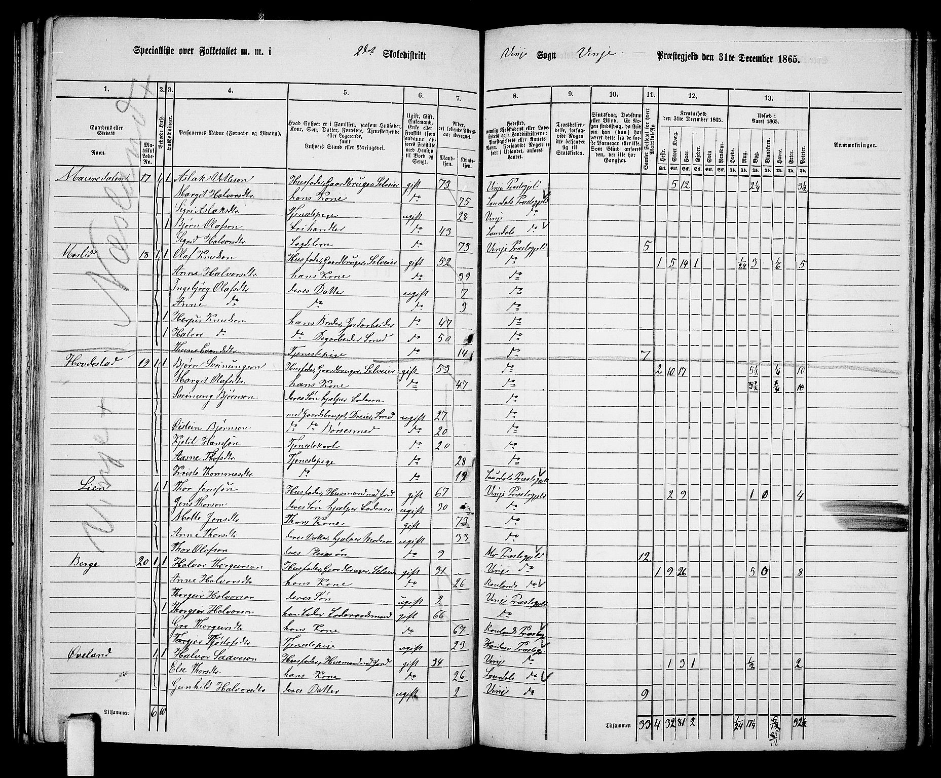 RA, 1865 census for Vinje, 1865, p. 17