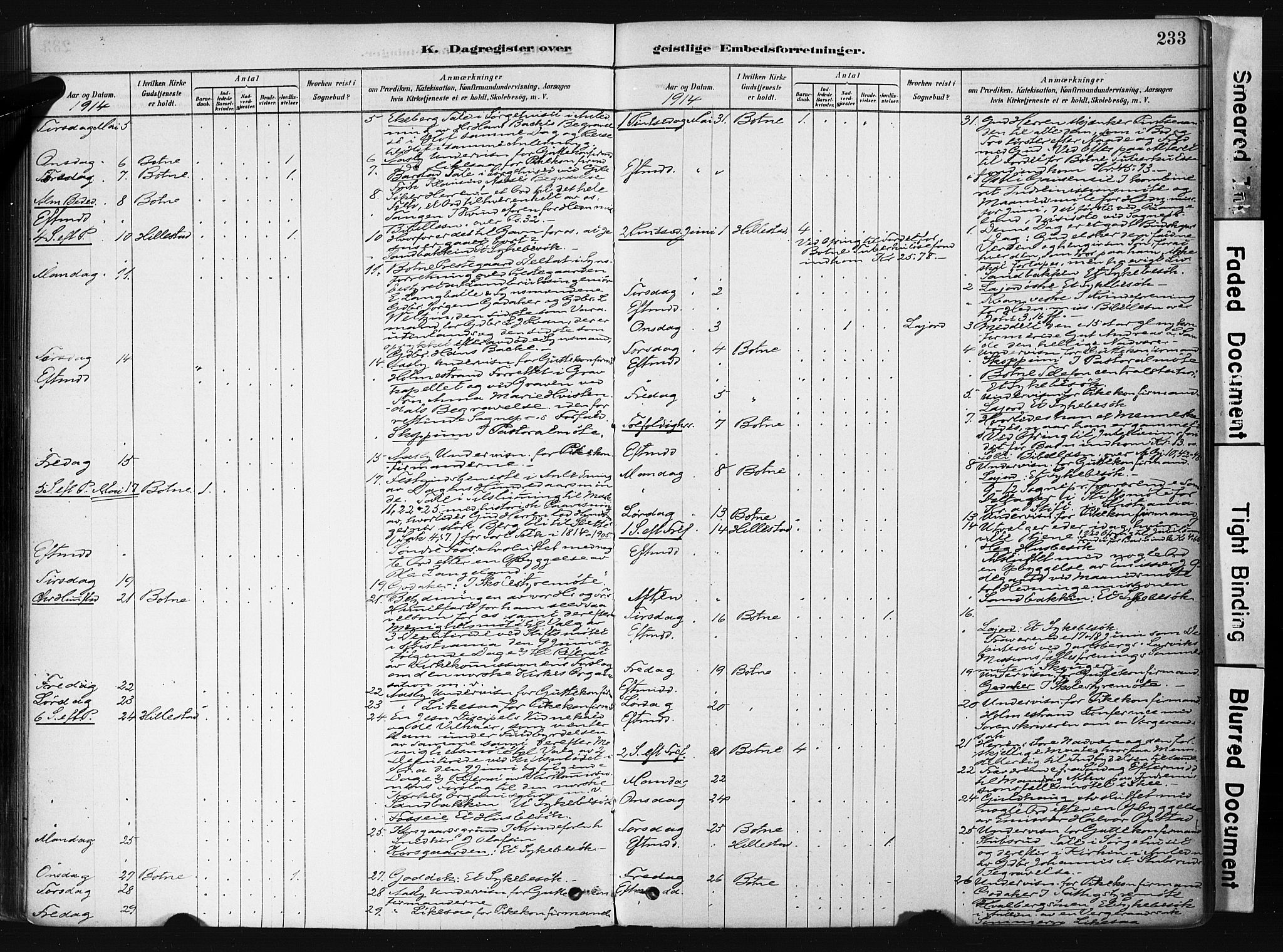 Botne kirkebøker, AV/SAKO-A-340/F/Fb/L0001: Parish register (official) no. II 1, 1878-1902, p. 233