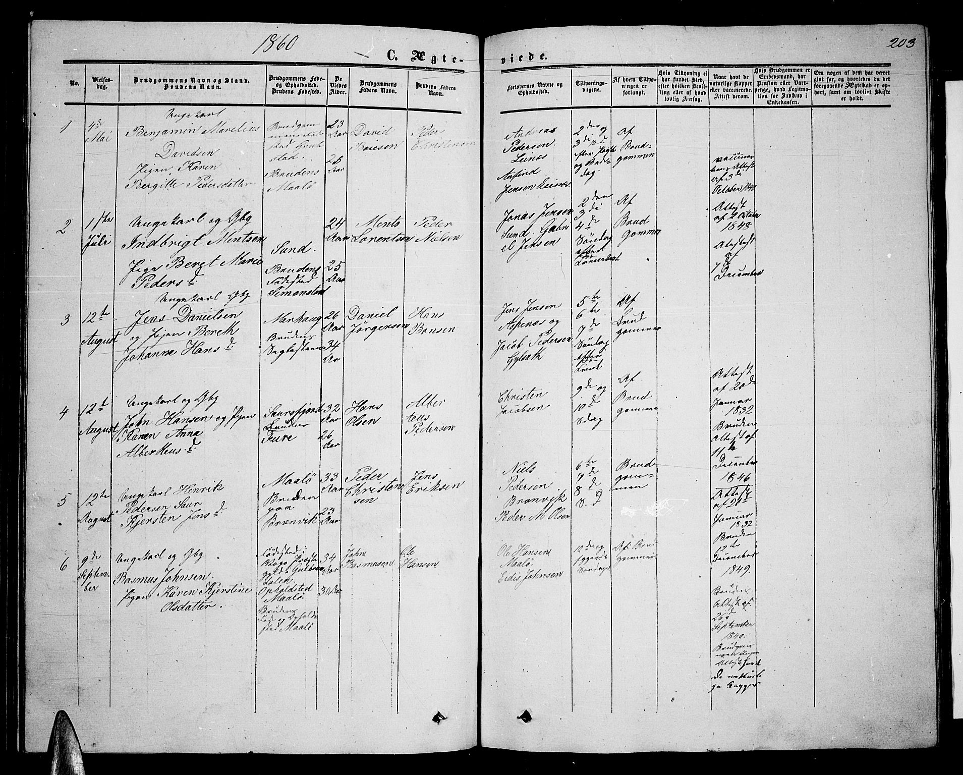 Ministerialprotokoller, klokkerbøker og fødselsregistre - Nordland, AV/SAT-A-1459/857/L0827: Parish register (copy) no. 857C02, 1852-1879, p. 203