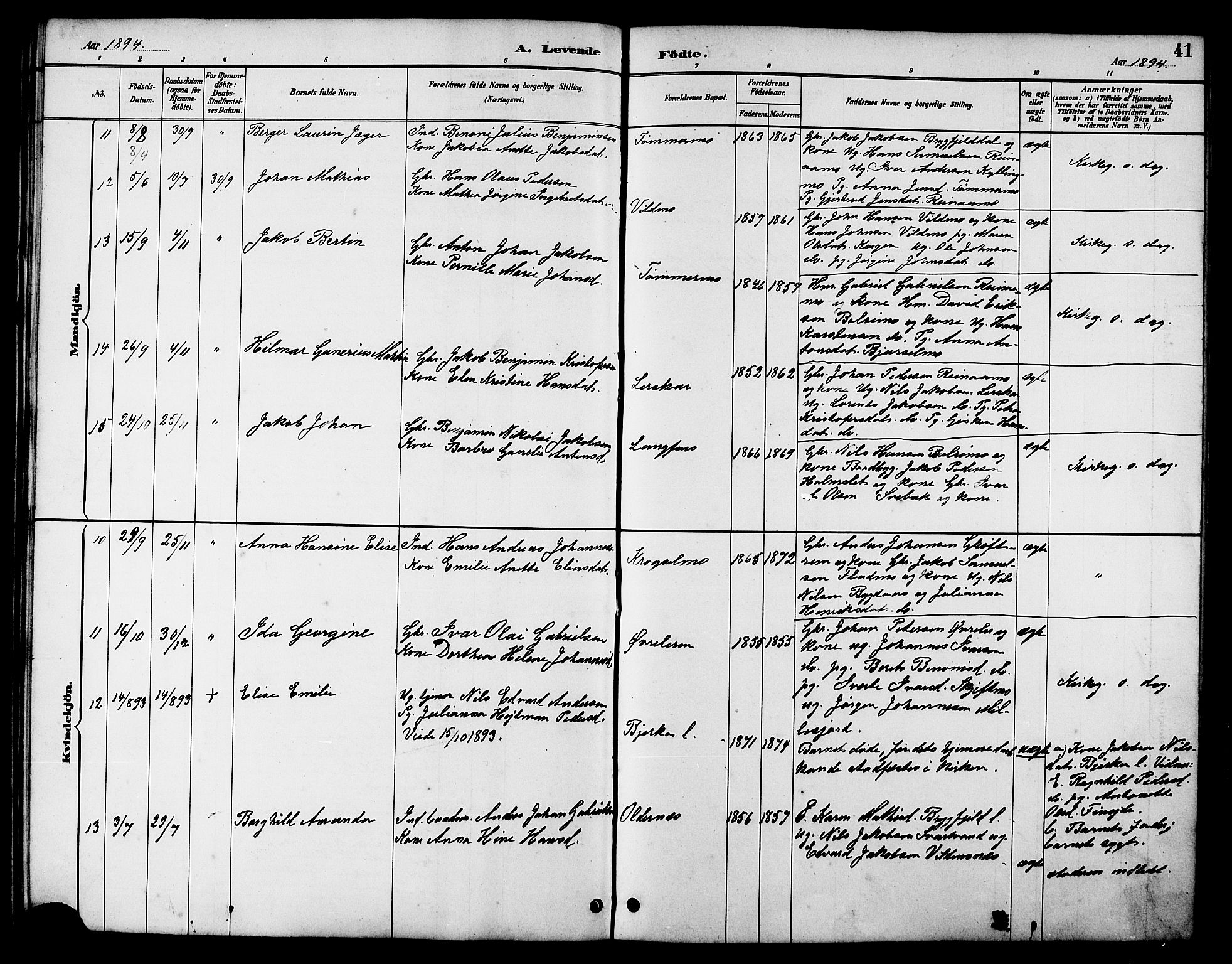 Ministerialprotokoller, klokkerbøker og fødselsregistre - Nordland, AV/SAT-A-1459/826/L0383: Parish register (copy) no. 826C03, 1887-1896, p. 41