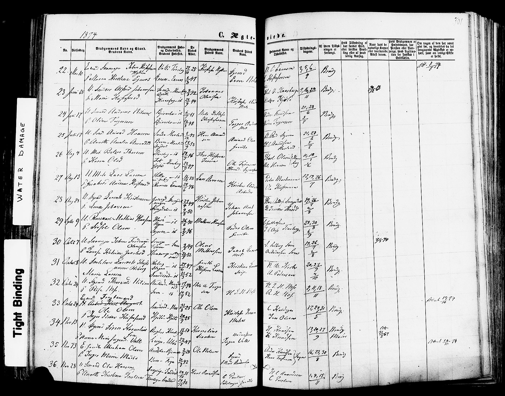 Nøtterøy kirkebøker, AV/SAKO-A-354/F/Fa/L0007: Parish register (official) no. I 7, 1865-1877, p. 301