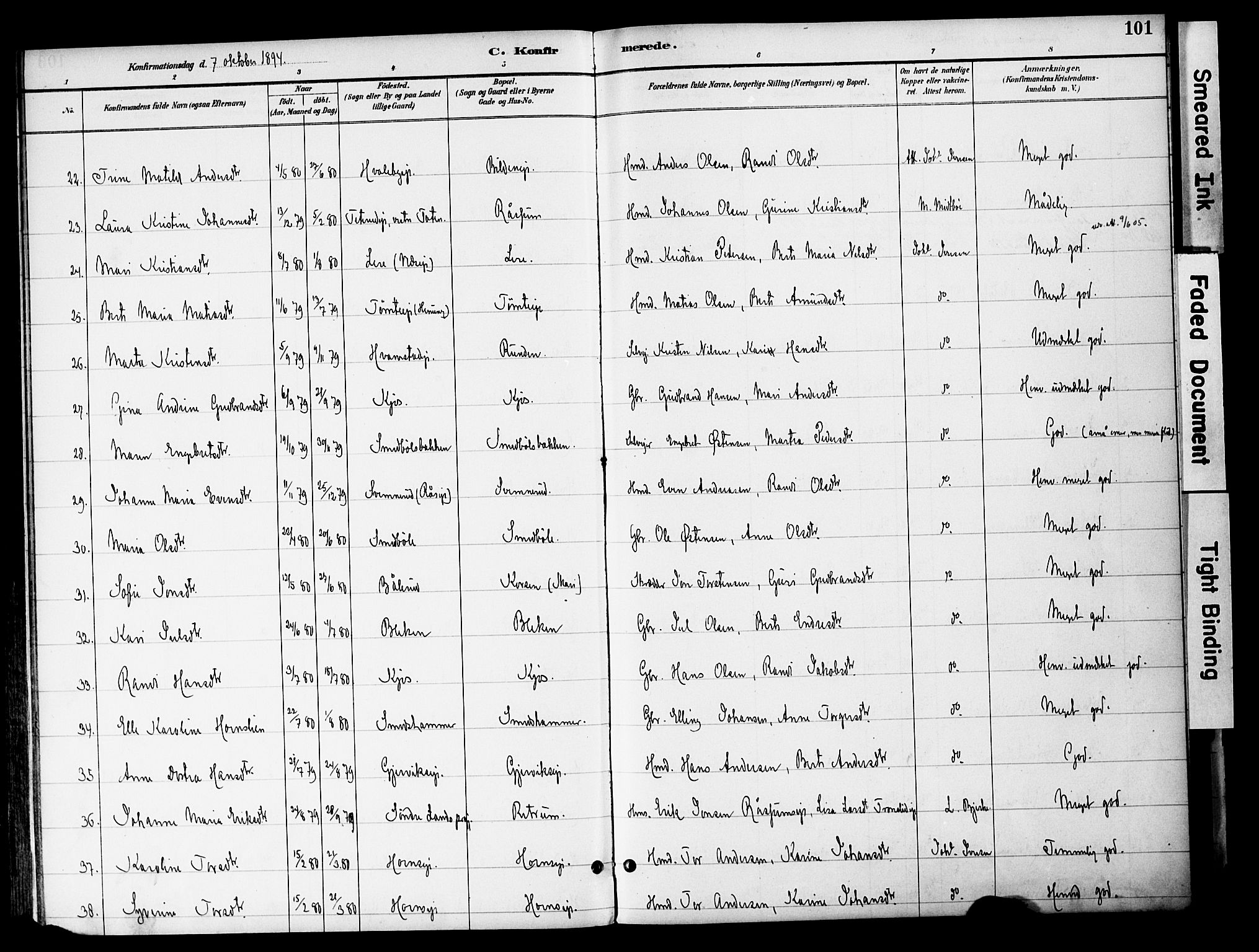 Gran prestekontor, AV/SAH-PREST-112/H/Ha/Haa/L0020: Parish register (official) no. 20, 1889-1899, p. 101