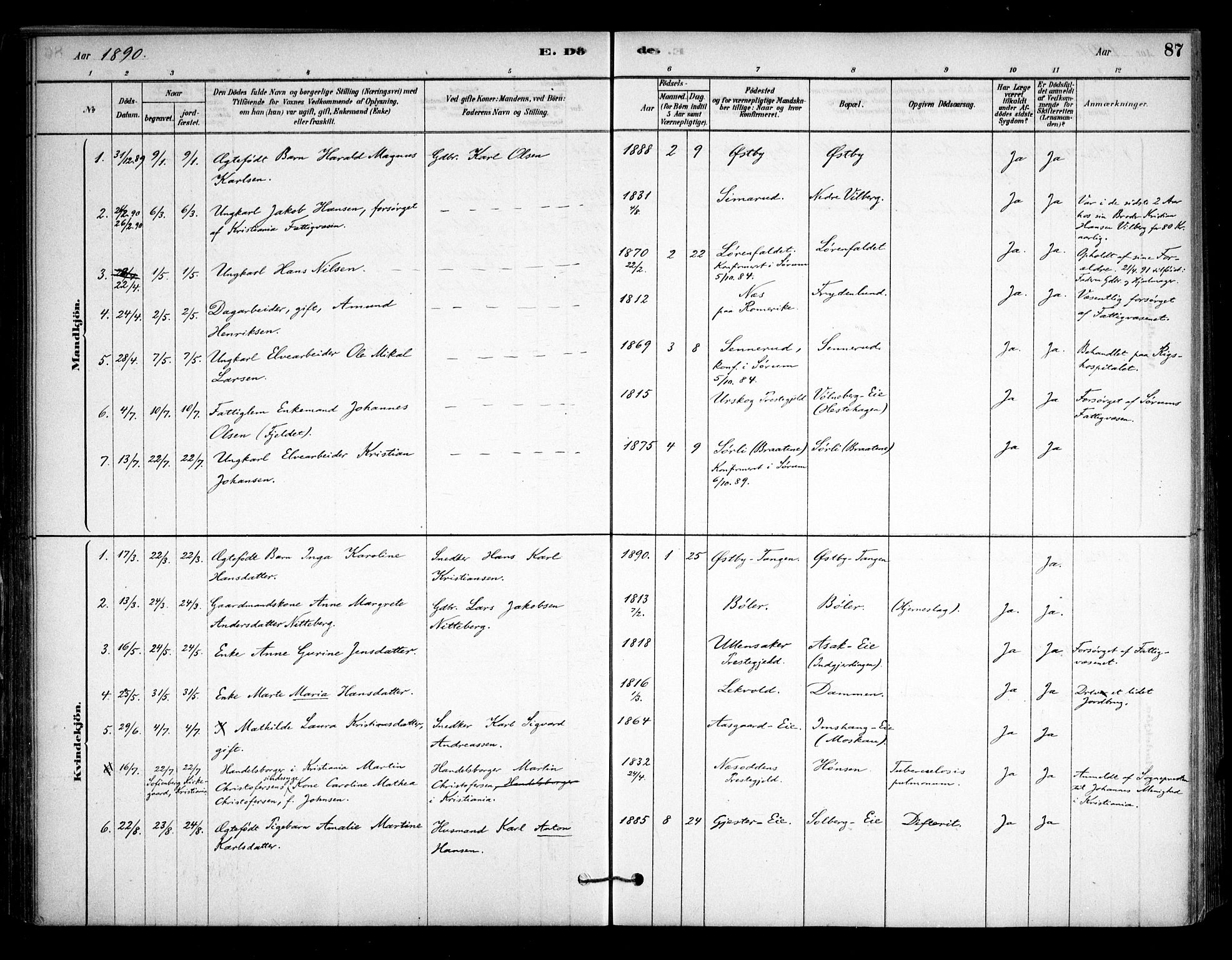 Sørum prestekontor Kirkebøker, SAO/A-10303/F/Fa/L0008: Parish register (official) no. I 8, 1878-1914, p. 87