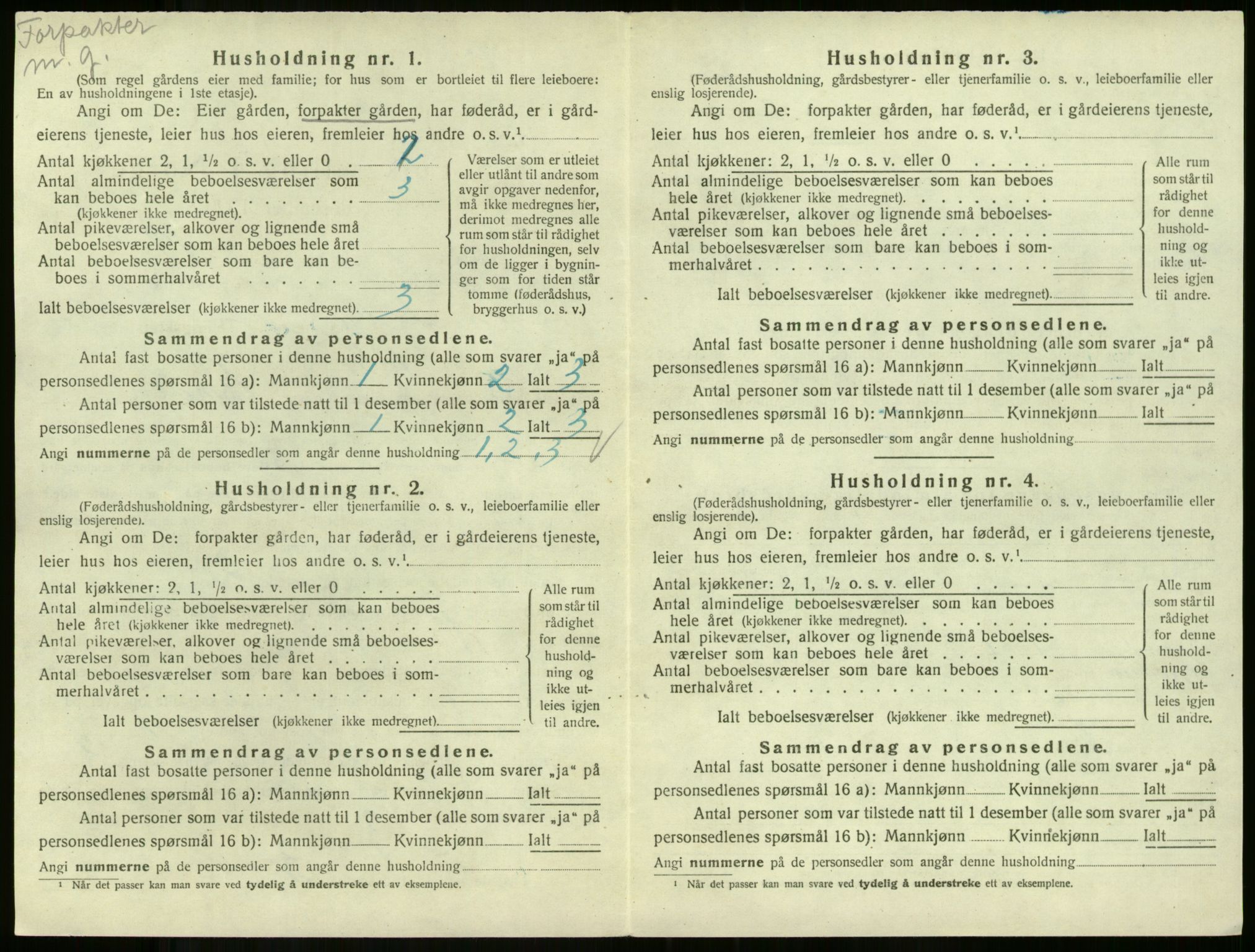 SAKO, 1920 census for Andebu, 1920, p. 1141