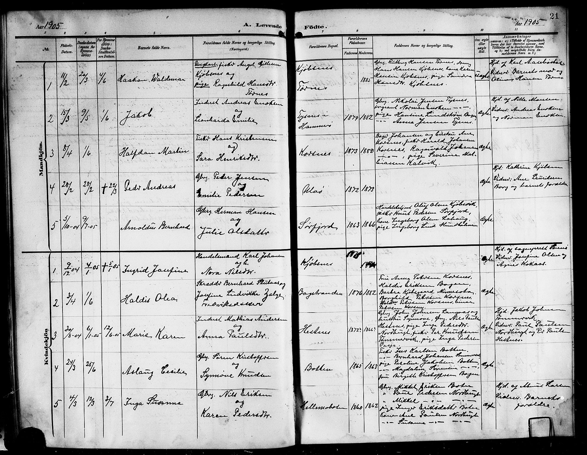 Ministerialprotokoller, klokkerbøker og fødselsregistre - Nordland, AV/SAT-A-1459/861/L0877: Parish register (copy) no. 861C03, 1903-1919, p. 21