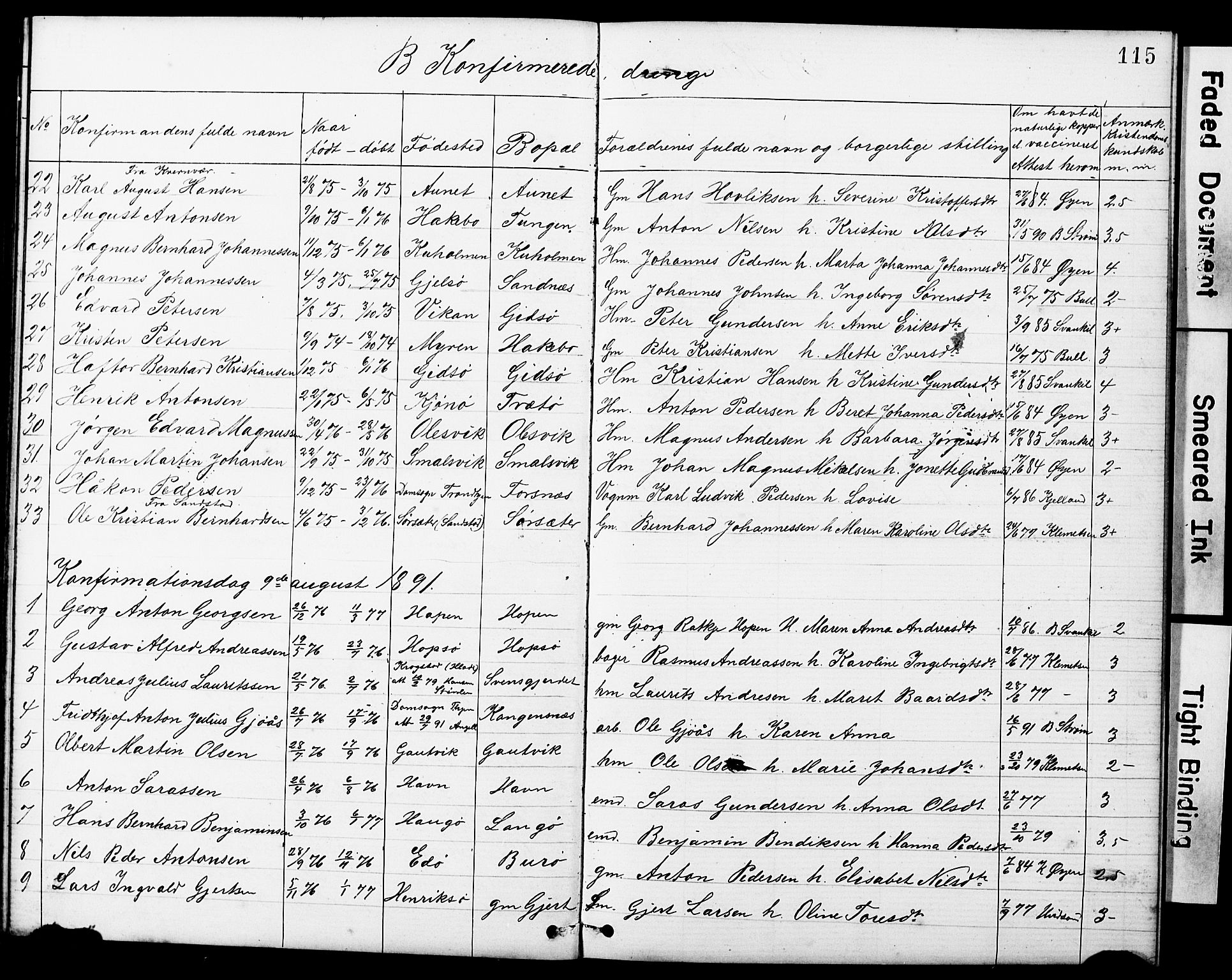Ministerialprotokoller, klokkerbøker og fødselsregistre - Sør-Trøndelag, SAT/A-1456/634/L0541: Parish register (copy) no. 634C03, 1874-1891, p. 115