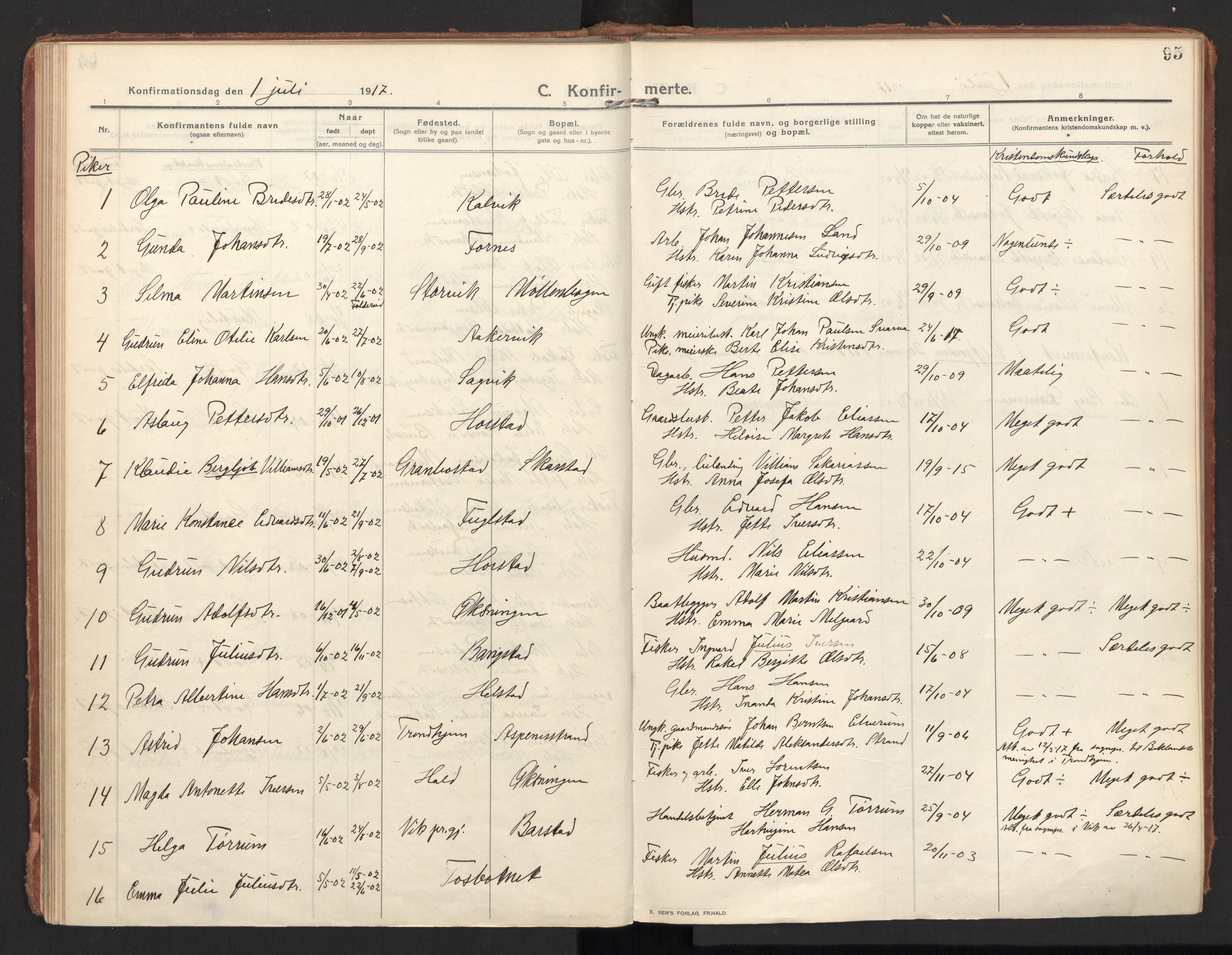 Ministerialprotokoller, klokkerbøker og fødselsregistre - Nordland, AV/SAT-A-1459/810/L0156: Parish register (official) no. 810A15, 1915-1930, p. 95