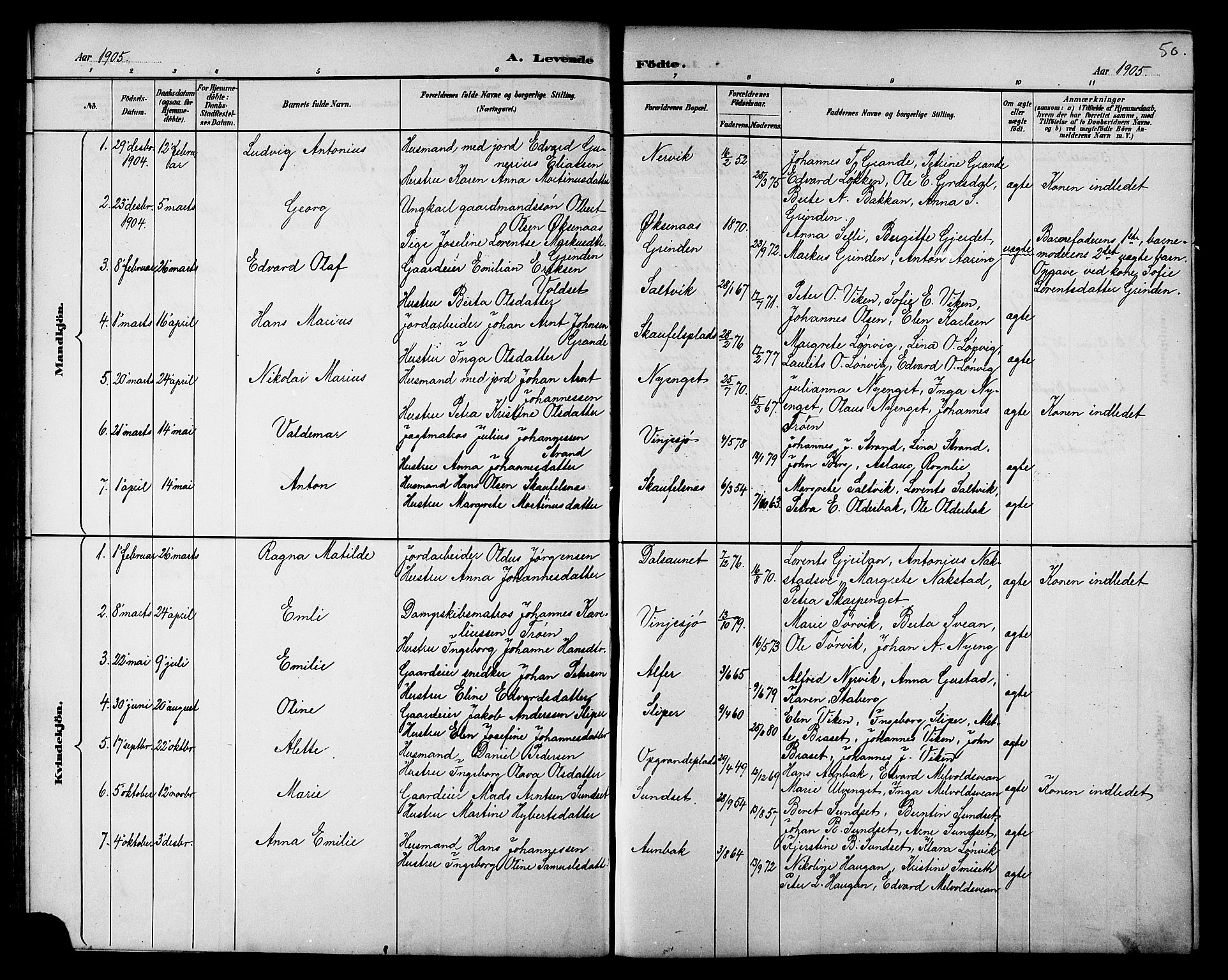 Ministerialprotokoller, klokkerbøker og fødselsregistre - Nord-Trøndelag, SAT/A-1458/733/L0327: Parish register (copy) no. 733C02, 1888-1918, p. 50