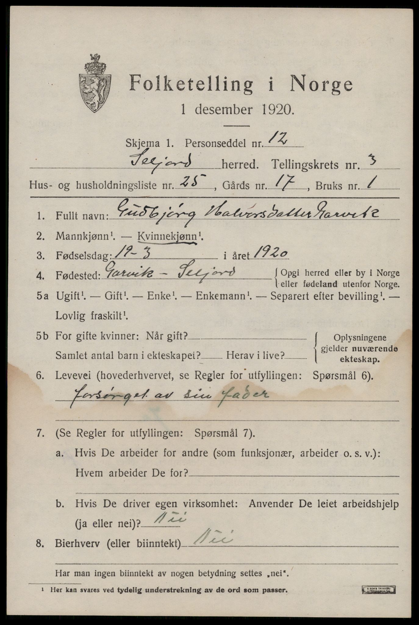 SAKO, 1920 census for Seljord, 1920, p. 2088