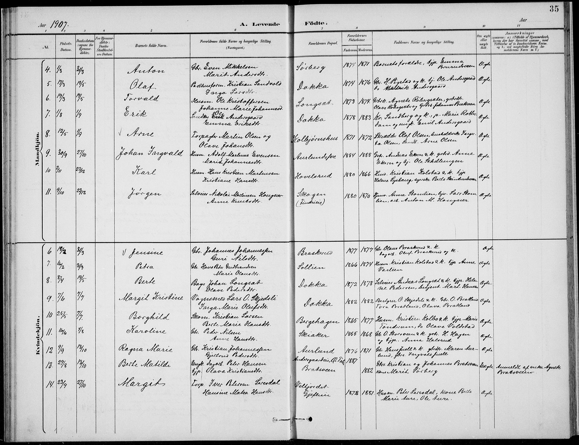 Nordre Land prestekontor, SAH/PREST-124/H/Ha/Hab/L0014: Parish register (copy) no. 14, 1891-1907, p. 35