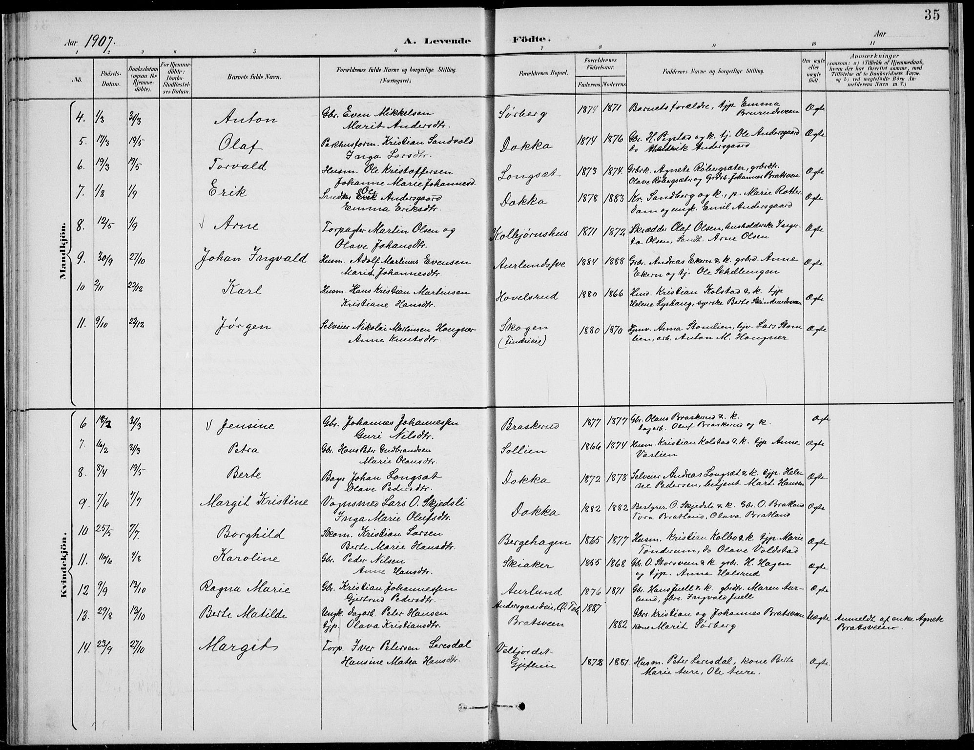 Nordre Land prestekontor, AV/SAH-PREST-124/H/Ha/Hab/L0014: Parish register (copy) no. 14, 1891-1907, p. 35