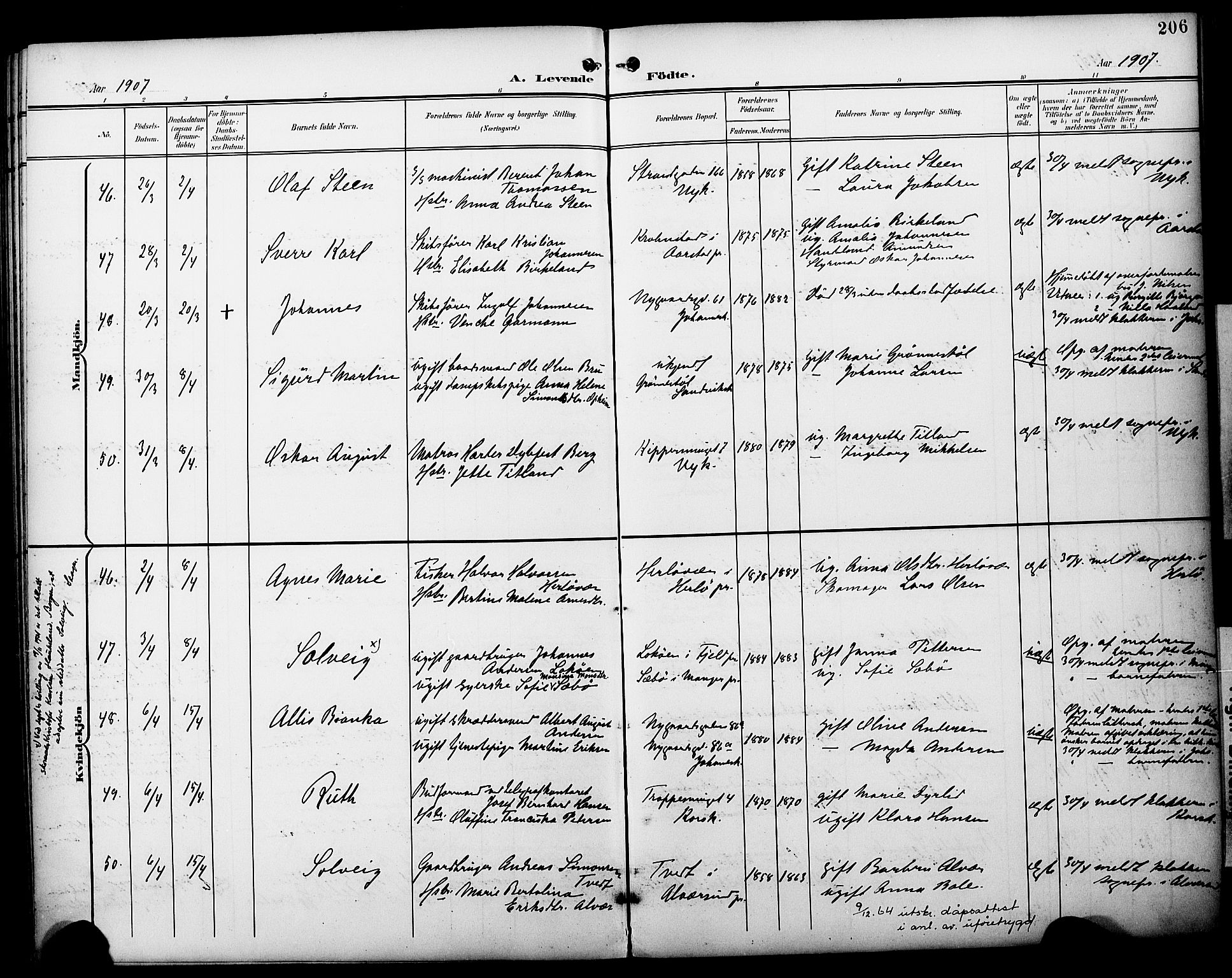 Fødselsstiftelsens sokneprestembete*, SAB/-: Parish register (official) no. A 3, 1901-1910, p. 206