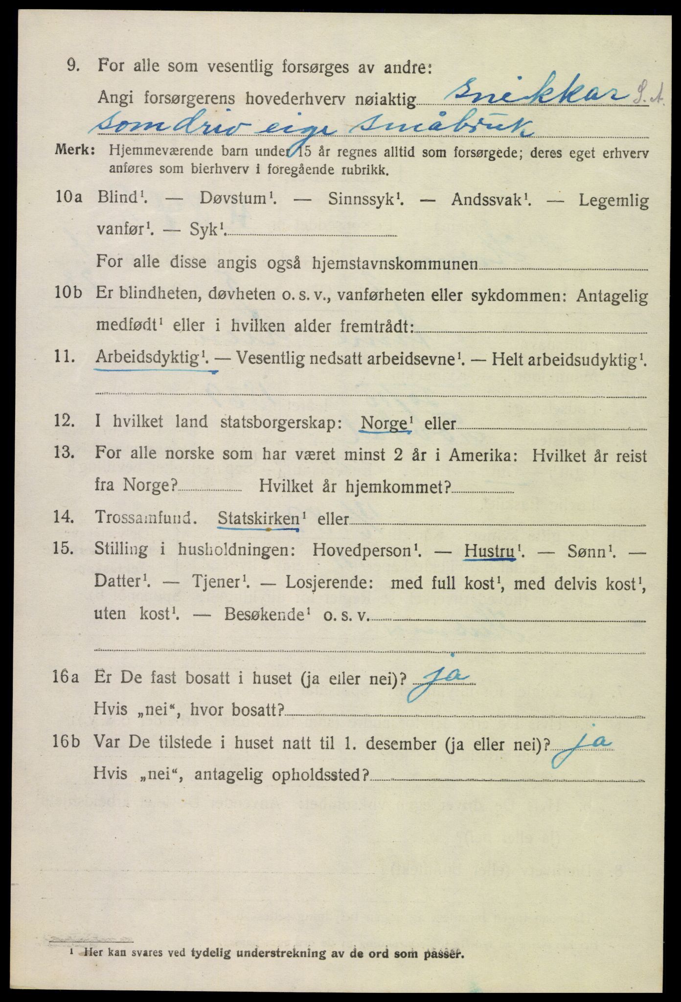 SAK, 1920 census for Hornnes, 1920, p. 1144