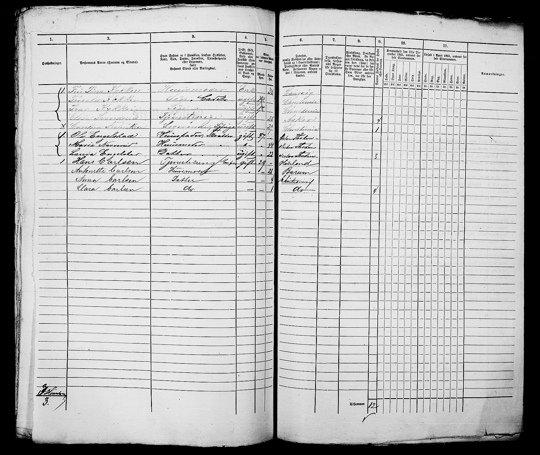 RA, 1865 census for Kristiania, 1865, p. 371