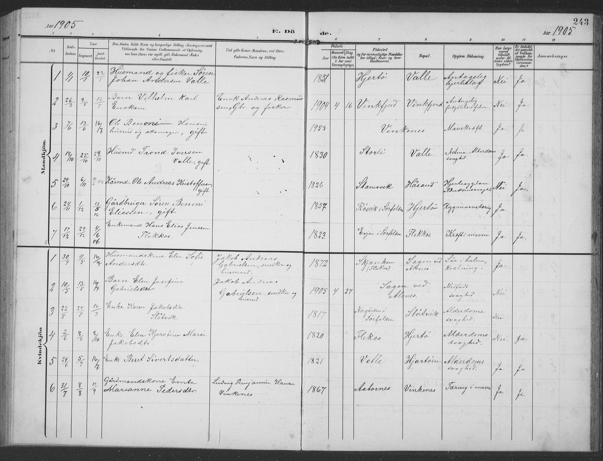 Ministerialprotokoller, klokkerbøker og fødselsregistre - Nordland, SAT/A-1459/858/L0835: Parish register (copy) no. 858C02, 1904-1940, p. 243