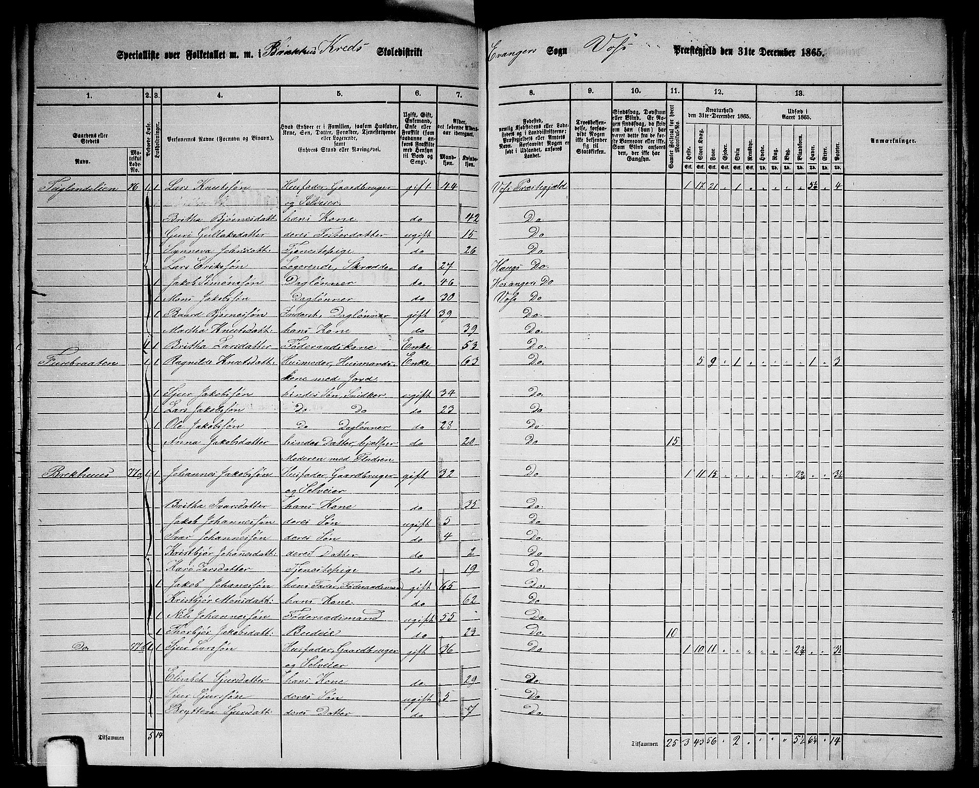 RA, 1865 census for Voss, 1865, p. 348