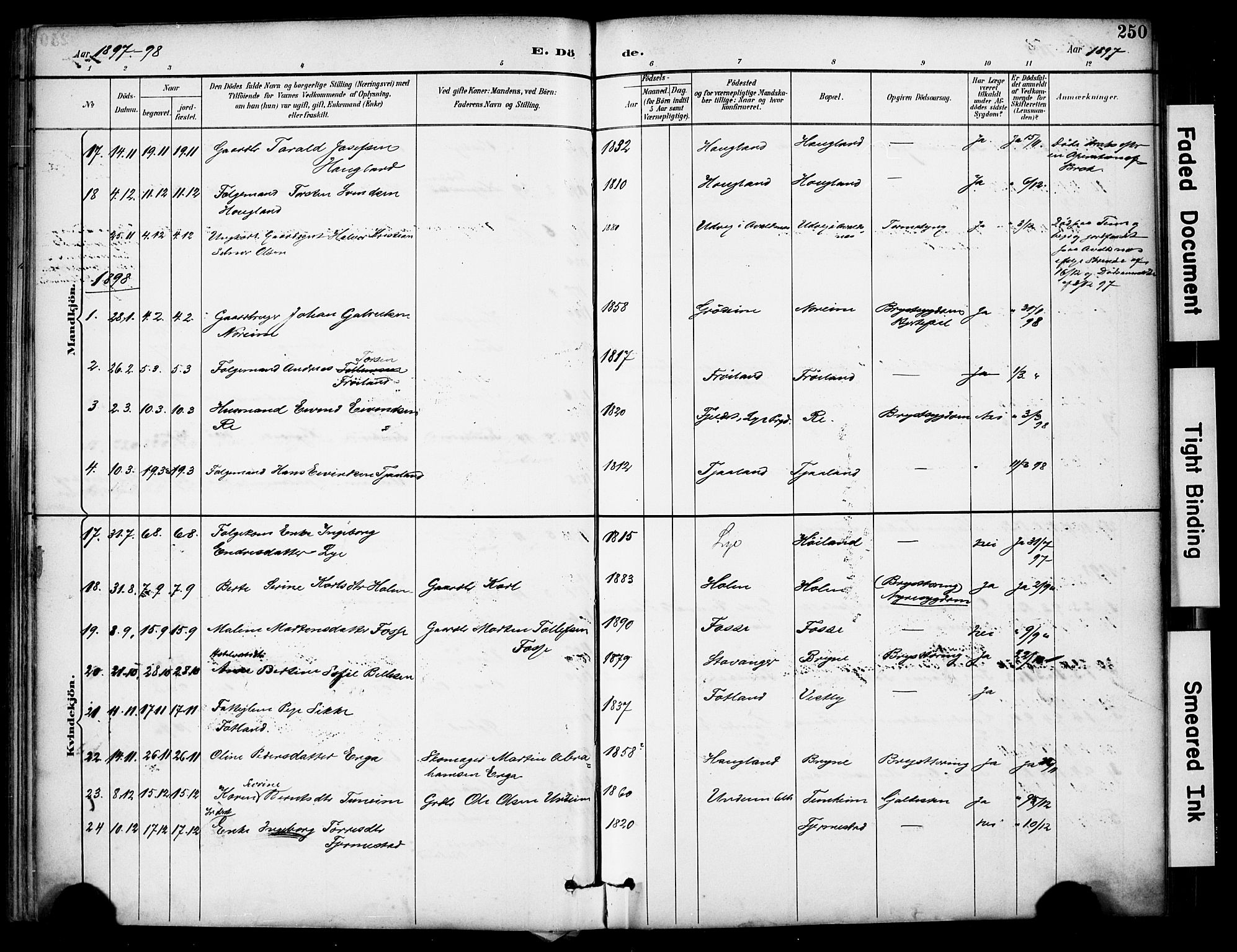 Lye sokneprestkontor, SAST/A-101794/001/30BA/L0011: Parish register (official) no. A 9, 1893-1903, p. 250