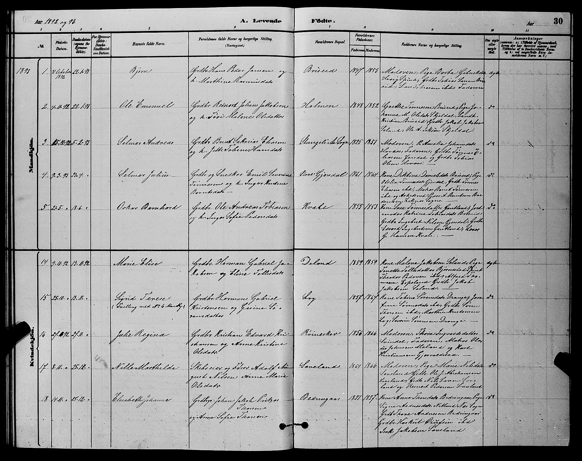 Herad sokneprestkontor, AV/SAK-1111-0018/F/Fb/Fba/L0004: Parish register (copy) no. B 4, 1882-1899, p. 30