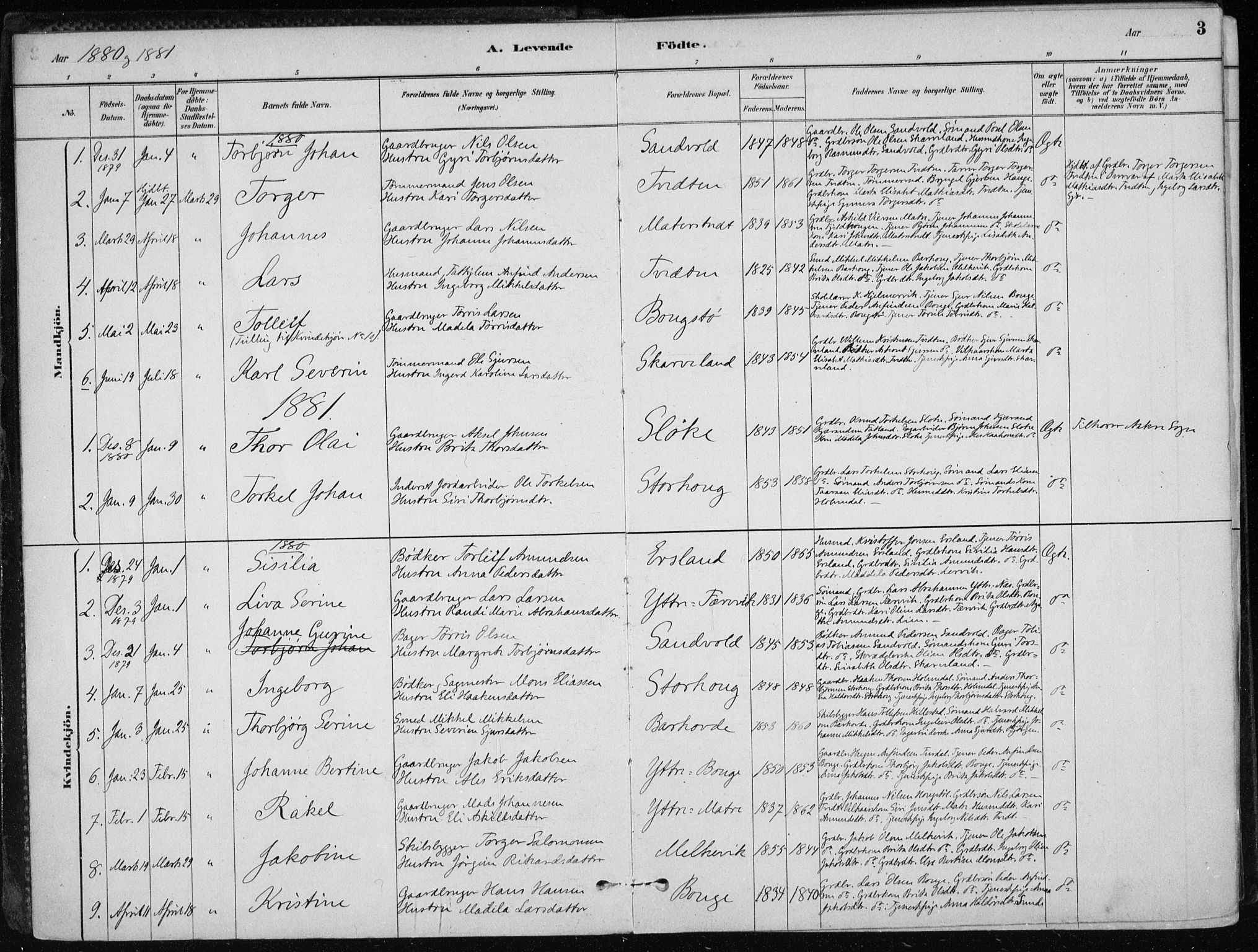 Skånevik sokneprestembete, SAB/A-77801/H/Haa: Parish register (official) no. C  1, 1879-1917, p. 3