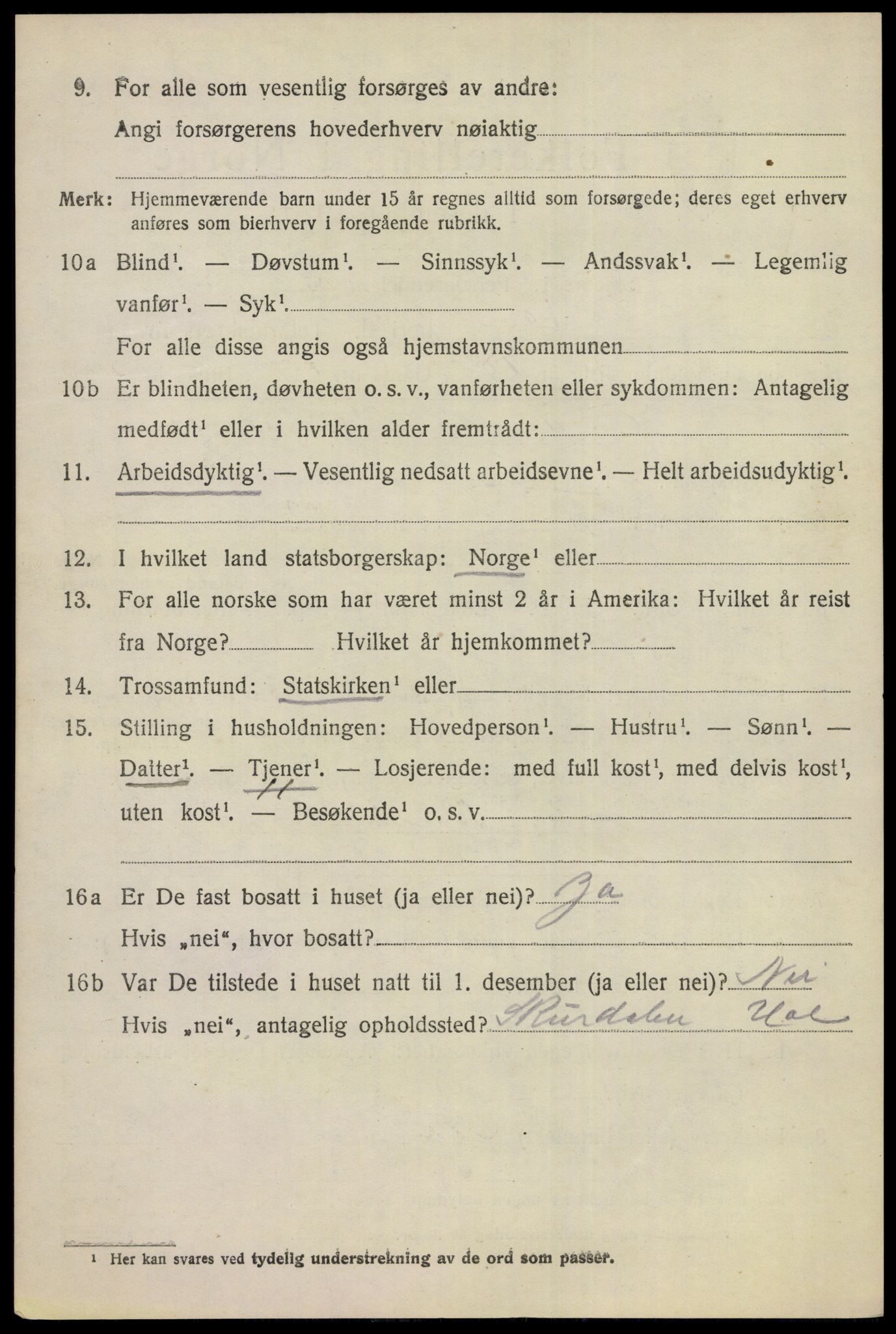 SAKO, 1920 census for Hol (Buskerud), 1920, p. 2946