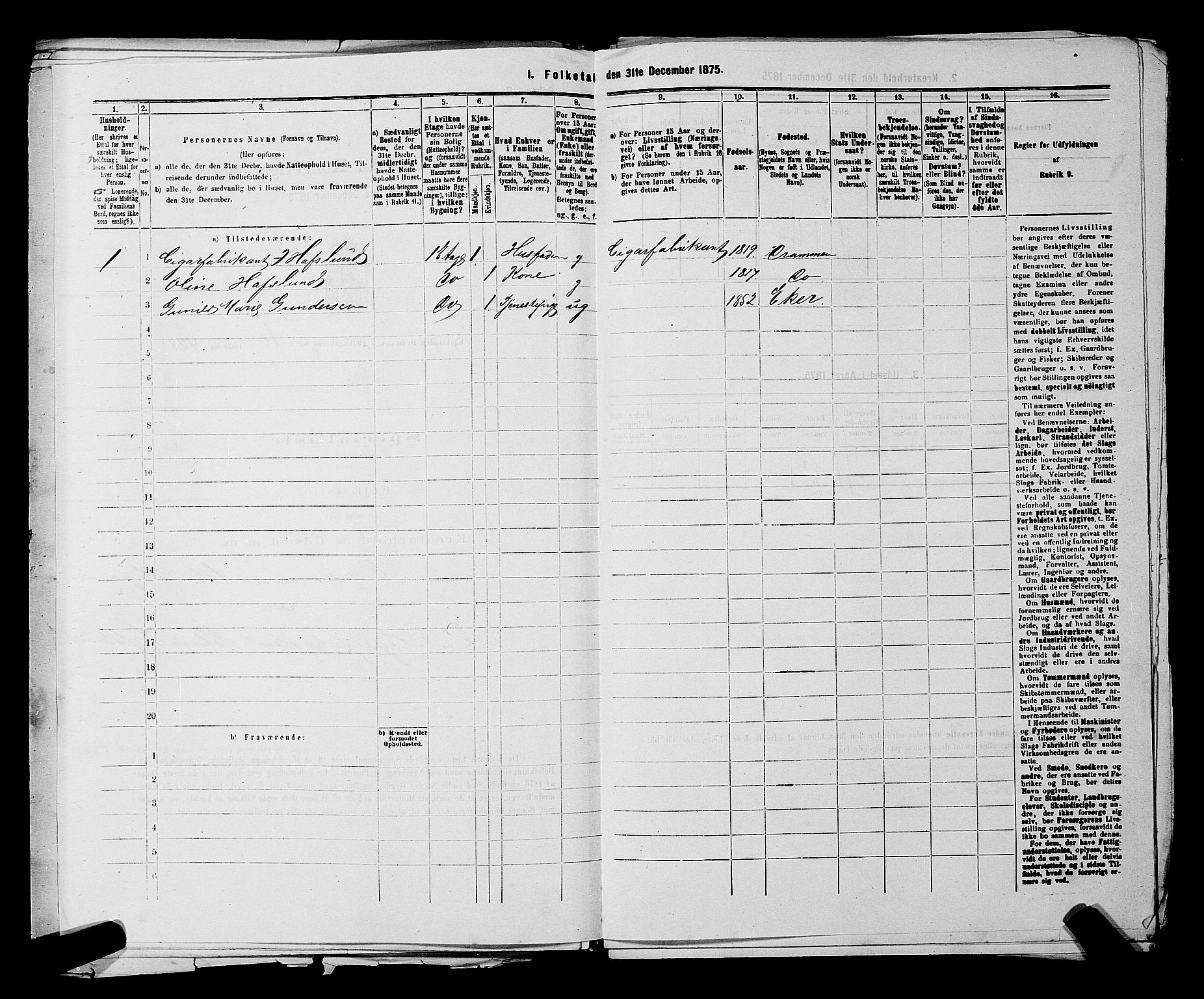 SAKO, 1875 census for 0602 Drammen, 1875, p. 977