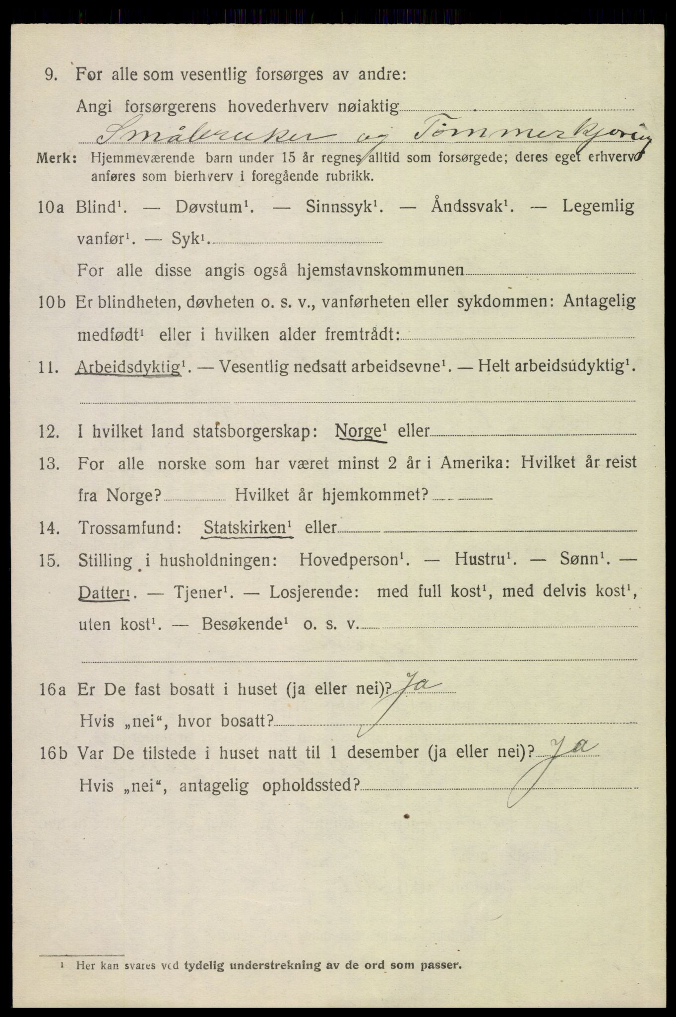 SAH, 1920 census for Hof, 1920, p. 7106