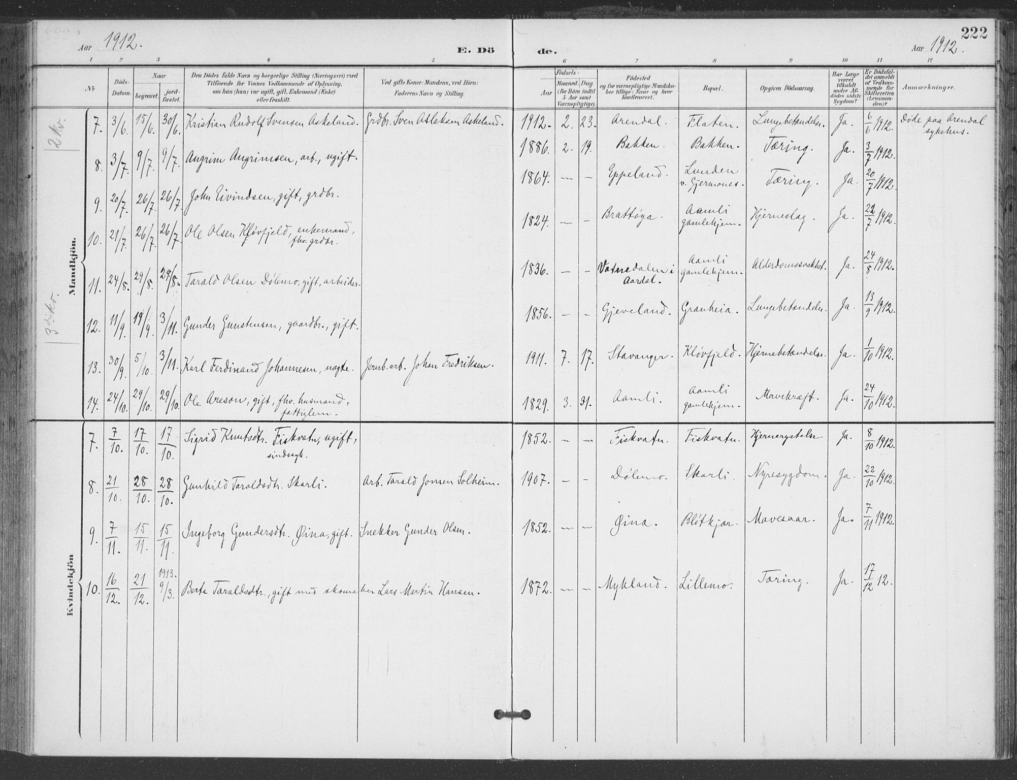 Åmli sokneprestkontor, AV/SAK-1111-0050/F/Fa/Fac/L0012: Parish register (official) no. A 12, 1900-1914, p. 222