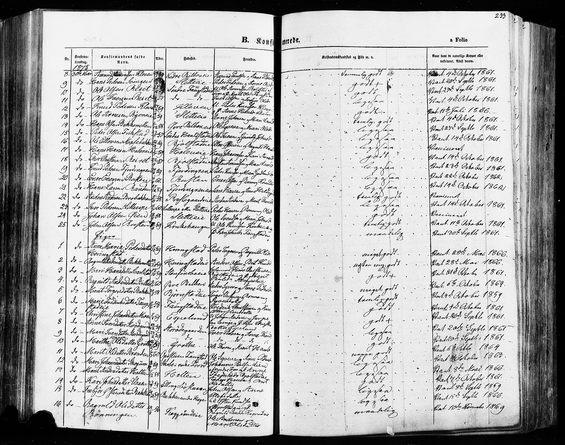 Vågå prestekontor, SAH/PREST-076/H/Ha/Haa/L0007: Parish register (official) no. 7 /1, 1872-1886, p. 233