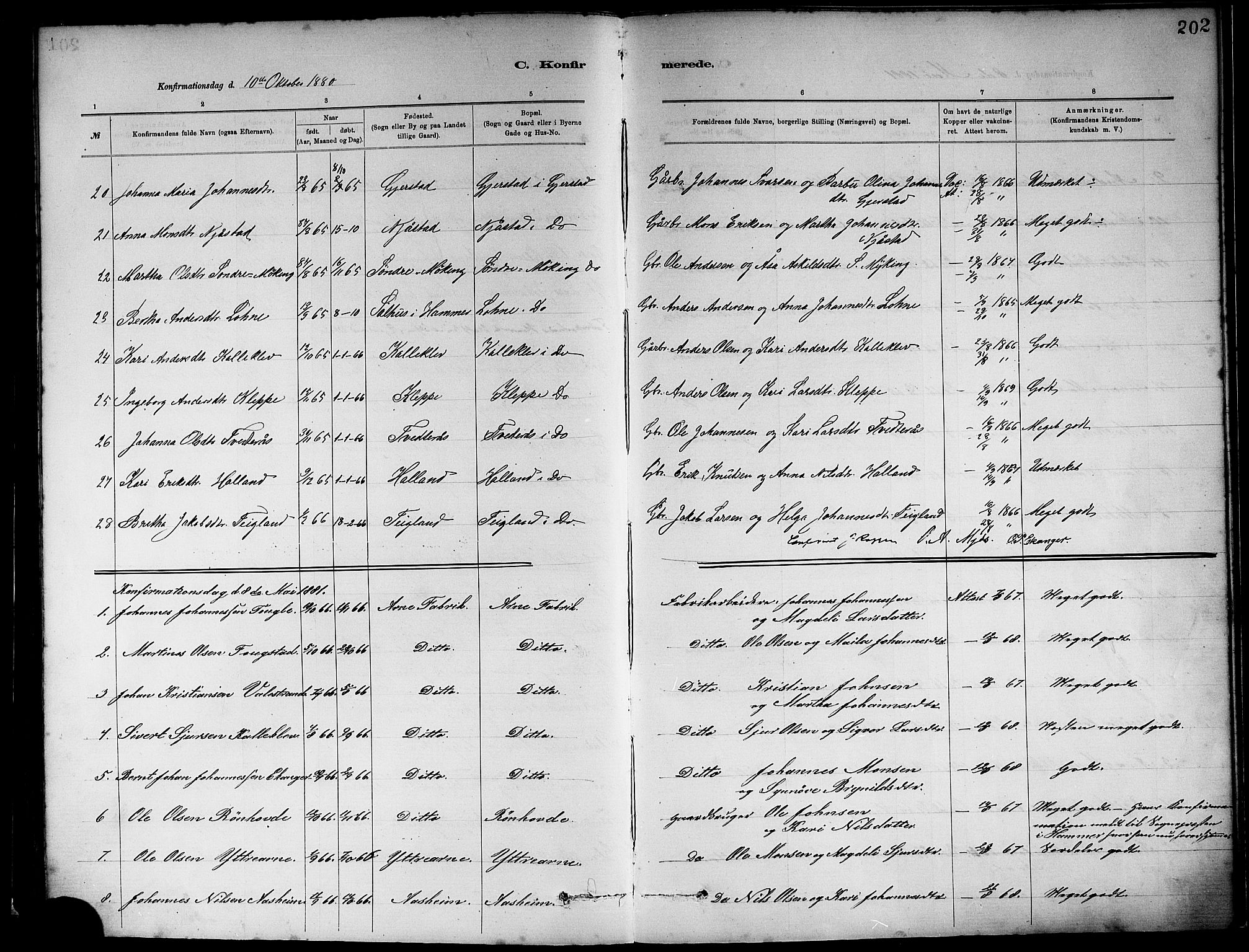 Haus sokneprestembete, AV/SAB-A-75601/H/Haa: Parish register (official) no. A 19I, 1878-1886, p. 202