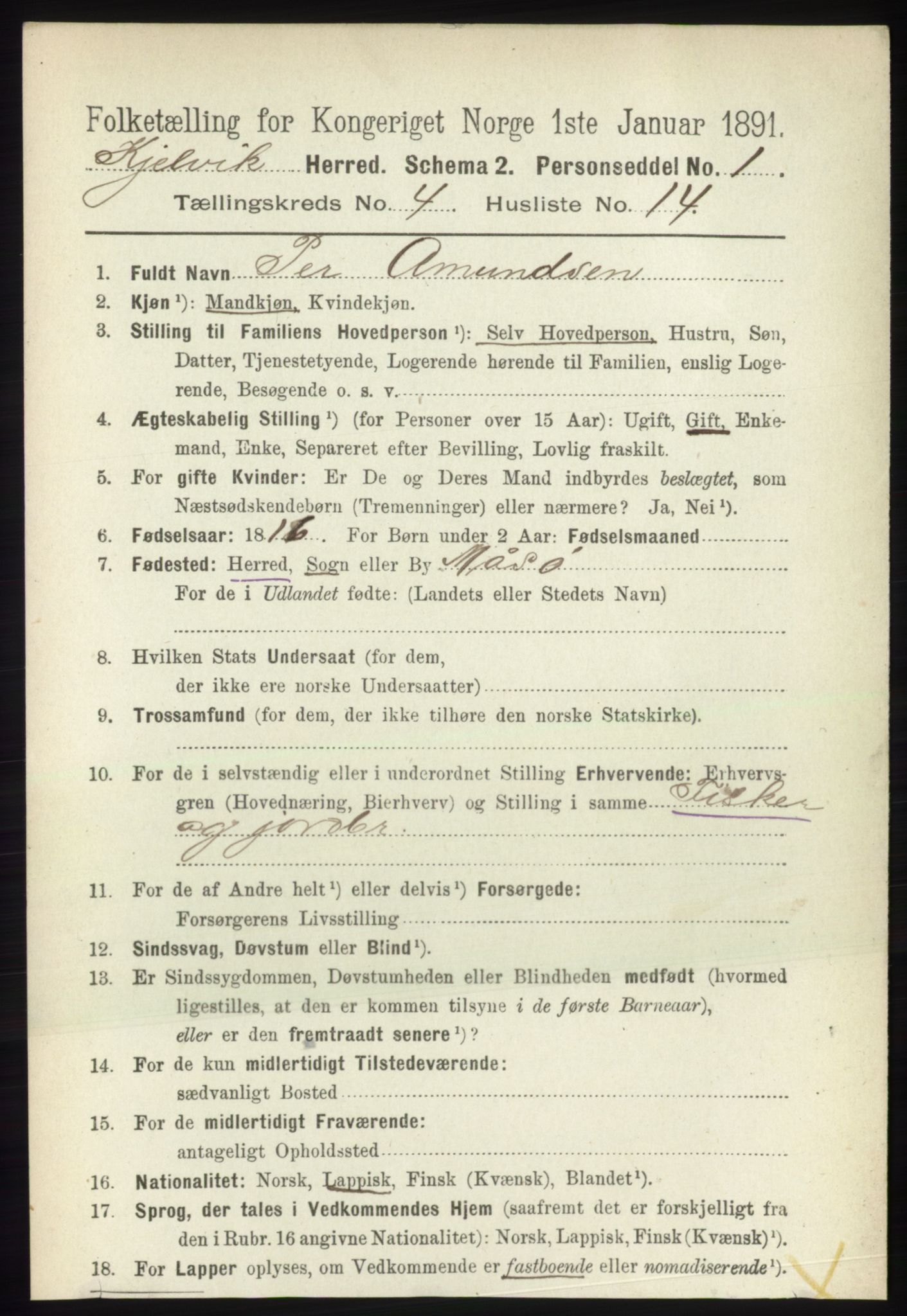 RA, 1891 census for 2019 Kjelvik, 1891, p. 510