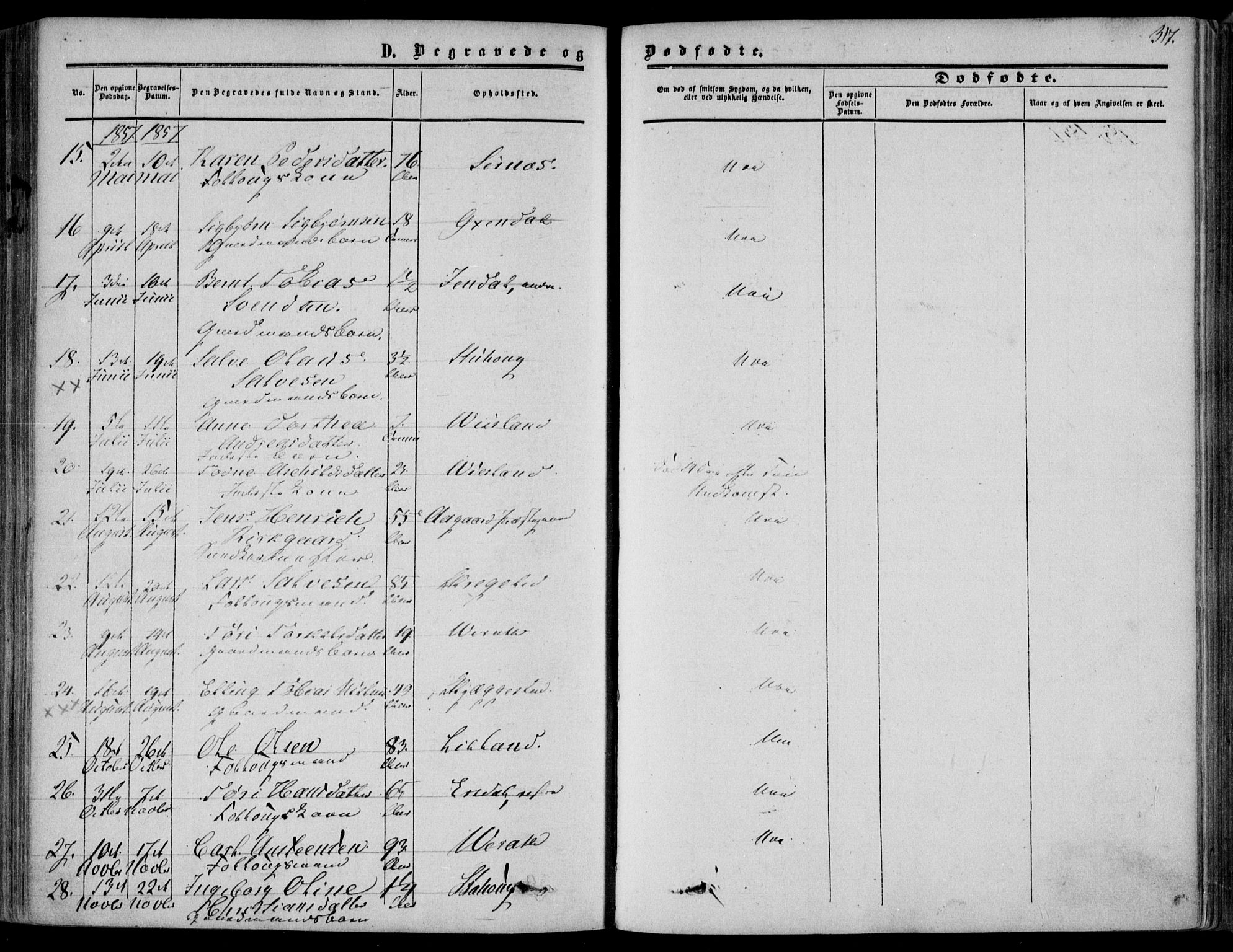 Bakke sokneprestkontor, AV/SAK-1111-0002/F/Fa/Faa/L0006: Parish register (official) no. A 6, 1855-1877, p. 317