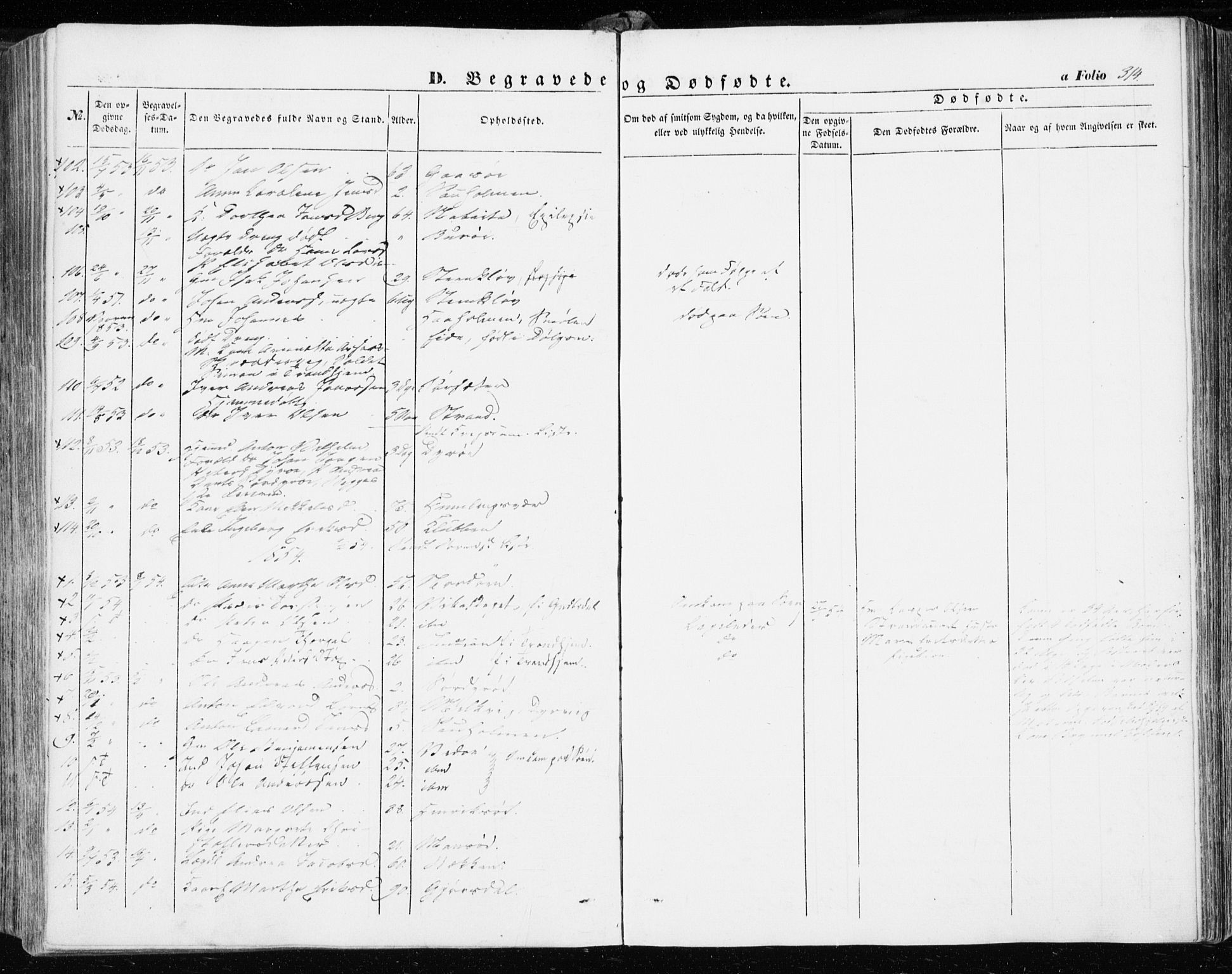 Ministerialprotokoller, klokkerbøker og fødselsregistre - Sør-Trøndelag, SAT/A-1456/634/L0530: Parish register (official) no. 634A06, 1852-1860, p. 314
