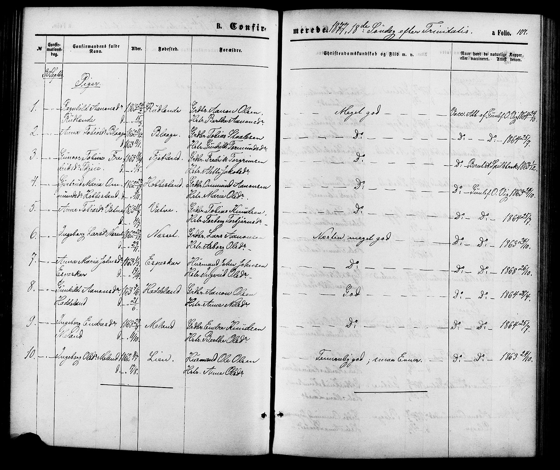 Hægebostad sokneprestkontor, SAK/1111-0024/F/Fa/Fab/L0003: Parish register (official) no. A 3, 1872-1886, p. 107