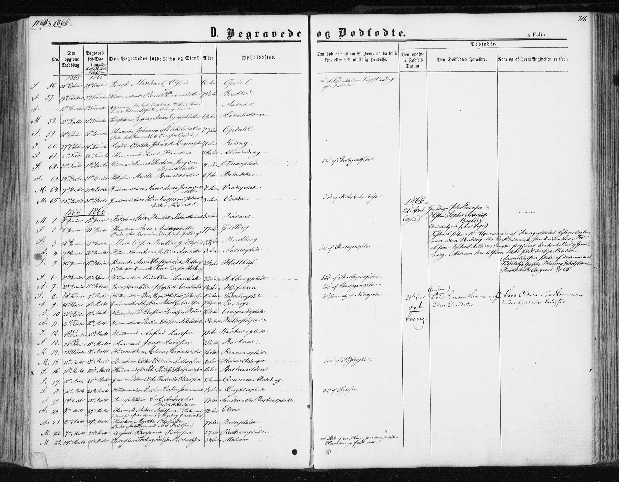 Ministerialprotokoller, klokkerbøker og fødselsregistre - Nord-Trøndelag, SAT/A-1458/741/L0394: Parish register (official) no. 741A08, 1864-1877, p. 316