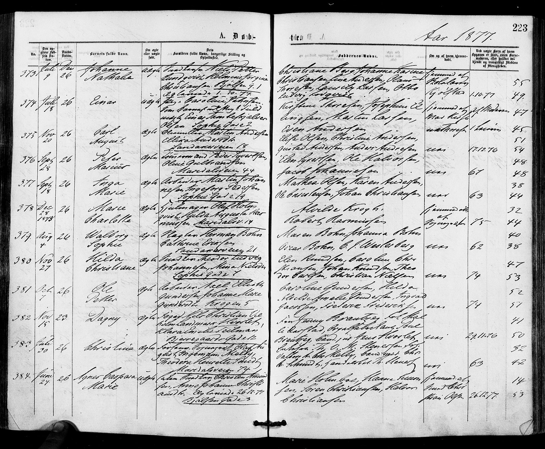 Gamle Aker prestekontor Kirkebøker, AV/SAO-A-10617a/F/L0004: Parish register (official) no. 4, 1872-1879, p. 223