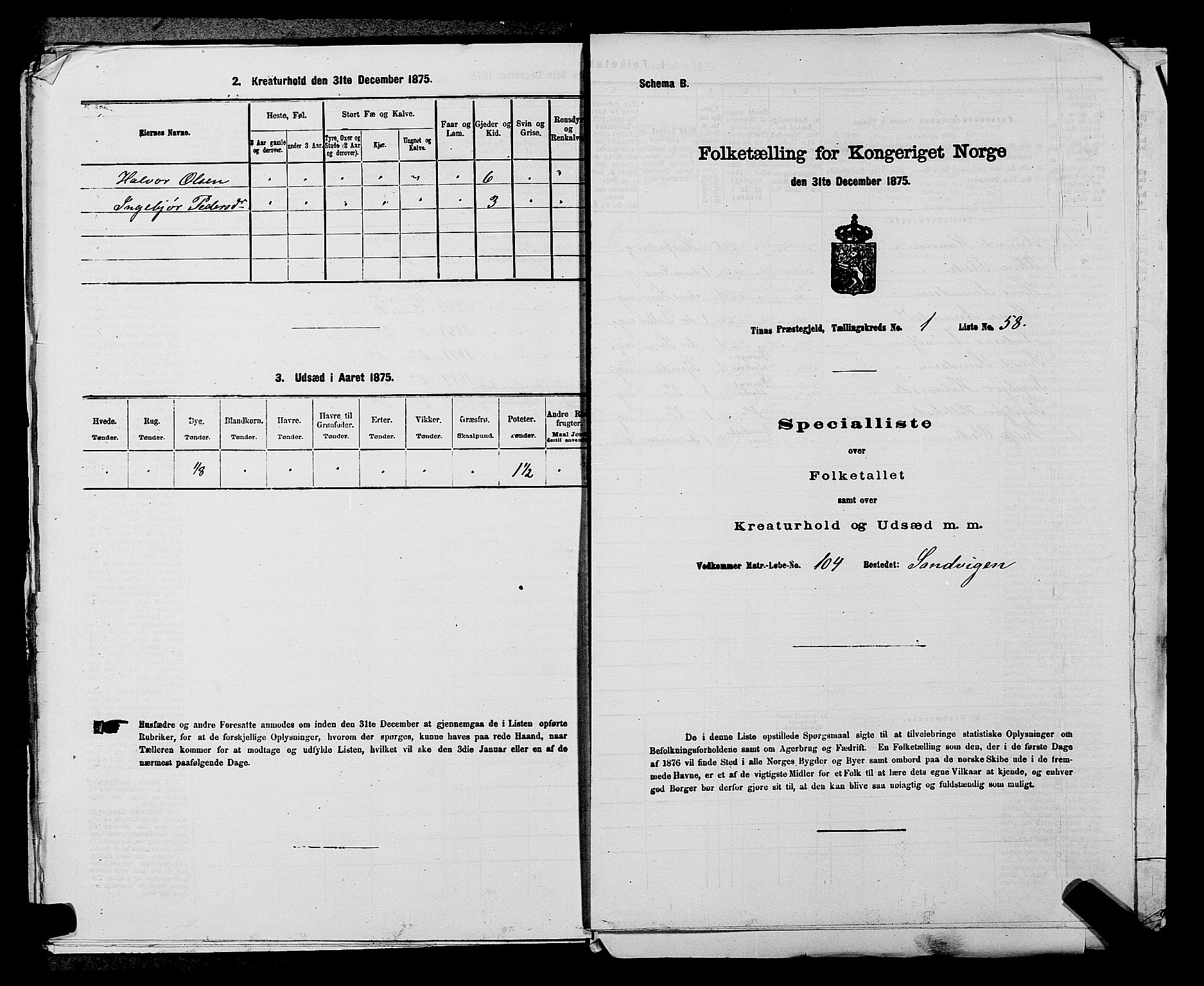 SAKO, 1875 census for 0826P Tinn, 1875, p. 161